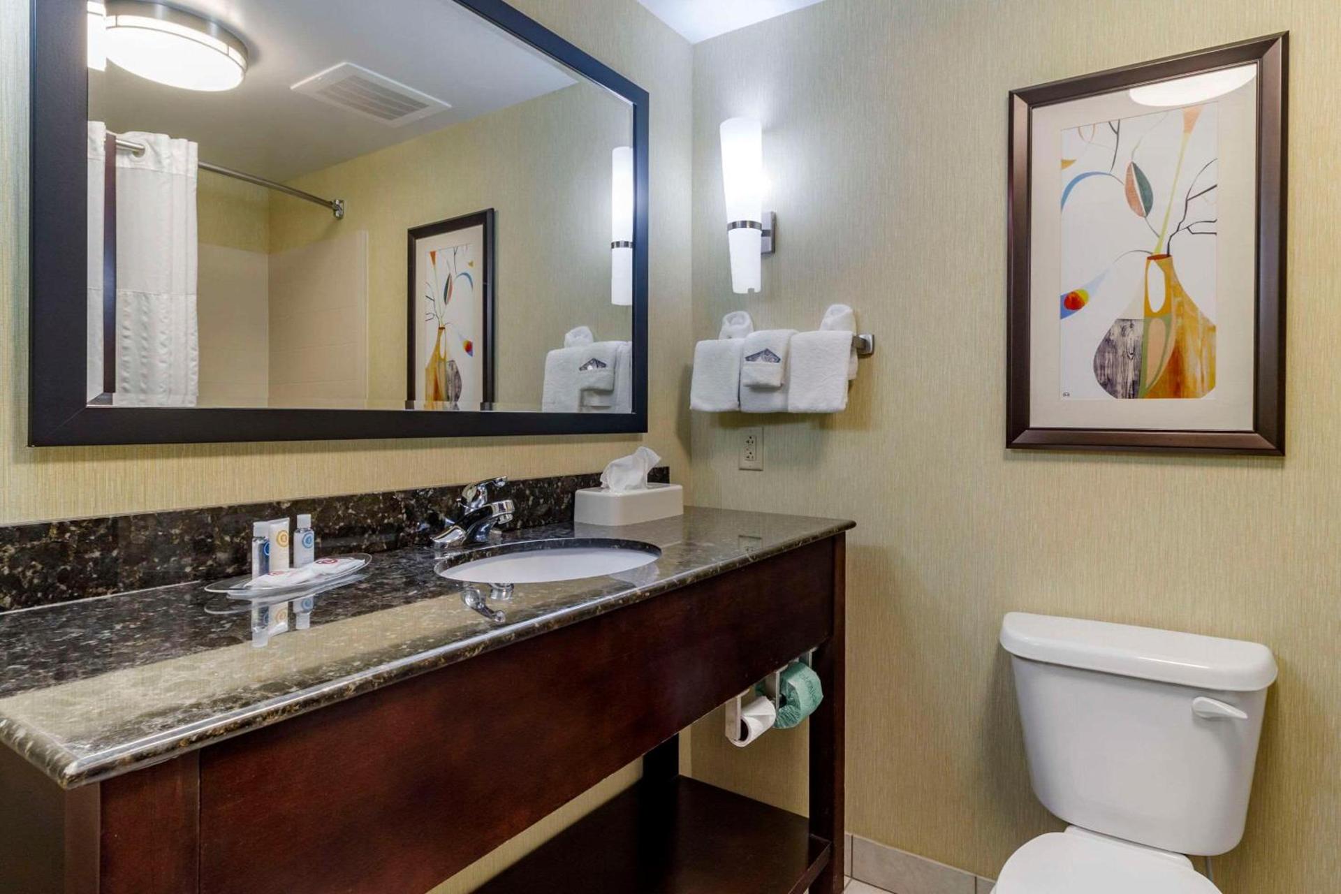 Comfort Suites Knoxville West - Farragut photo 9