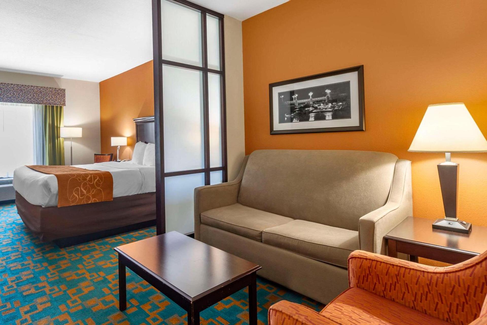 Comfort Suites Knoxville West - Farragut photo 10
