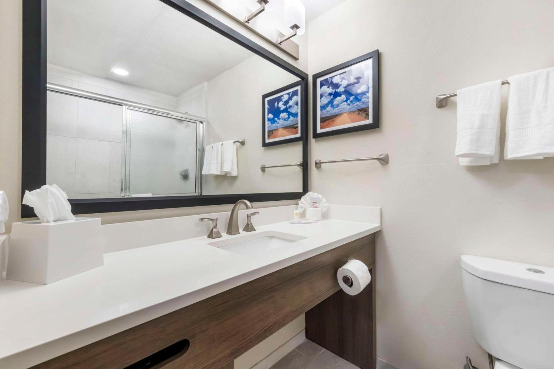 Comfort Inn Portales photo 11