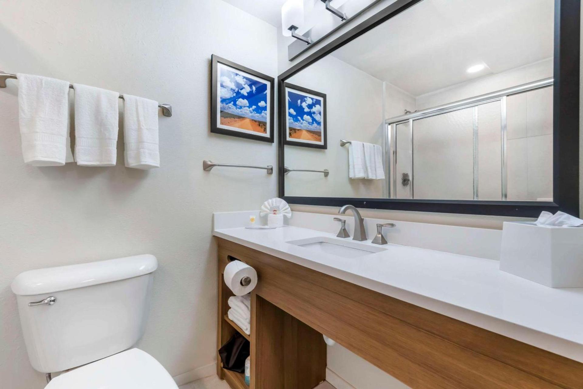 Comfort Inn Portales photo 19