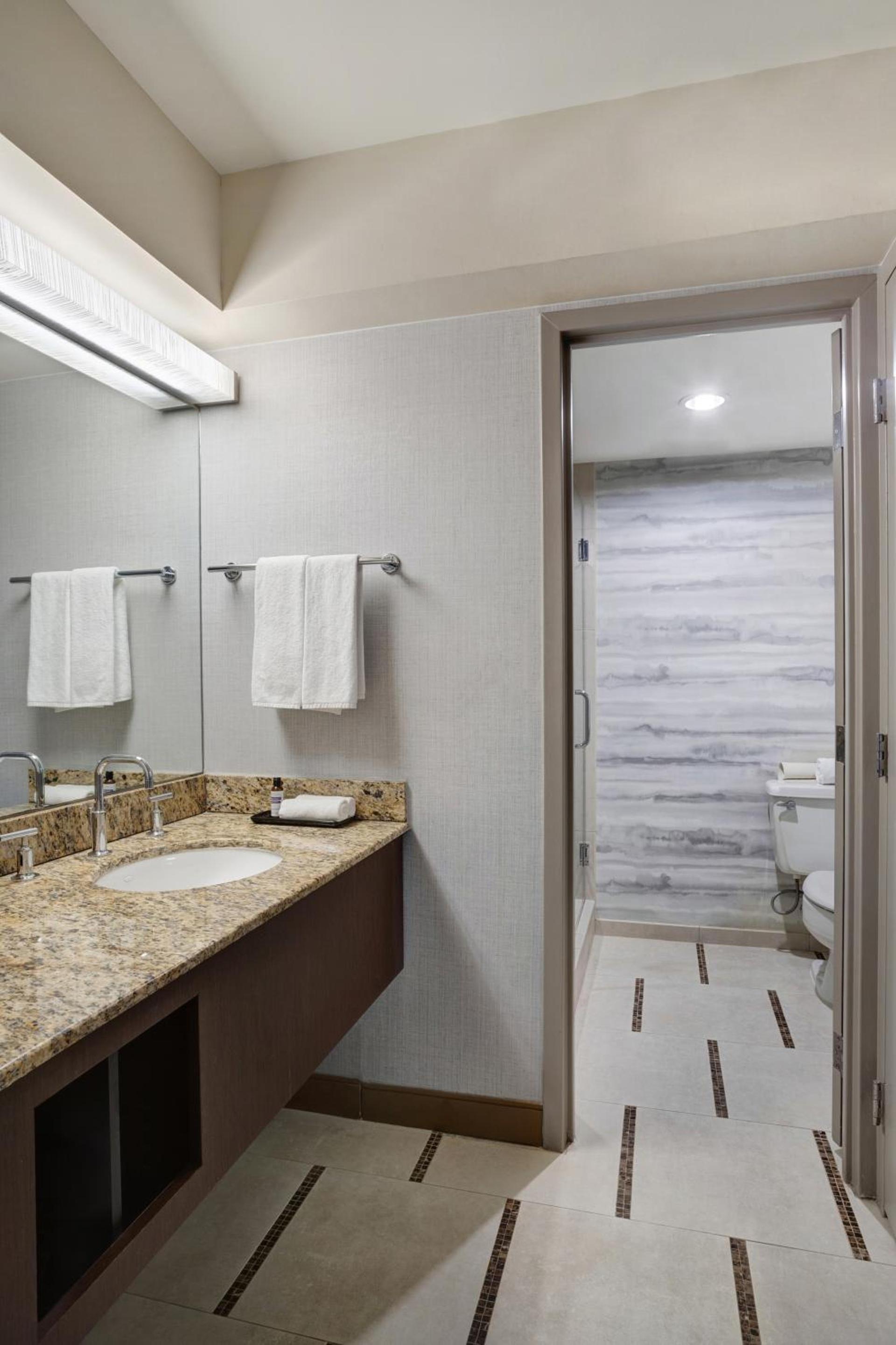 Hyatt Regency DFW International Airport photo 67