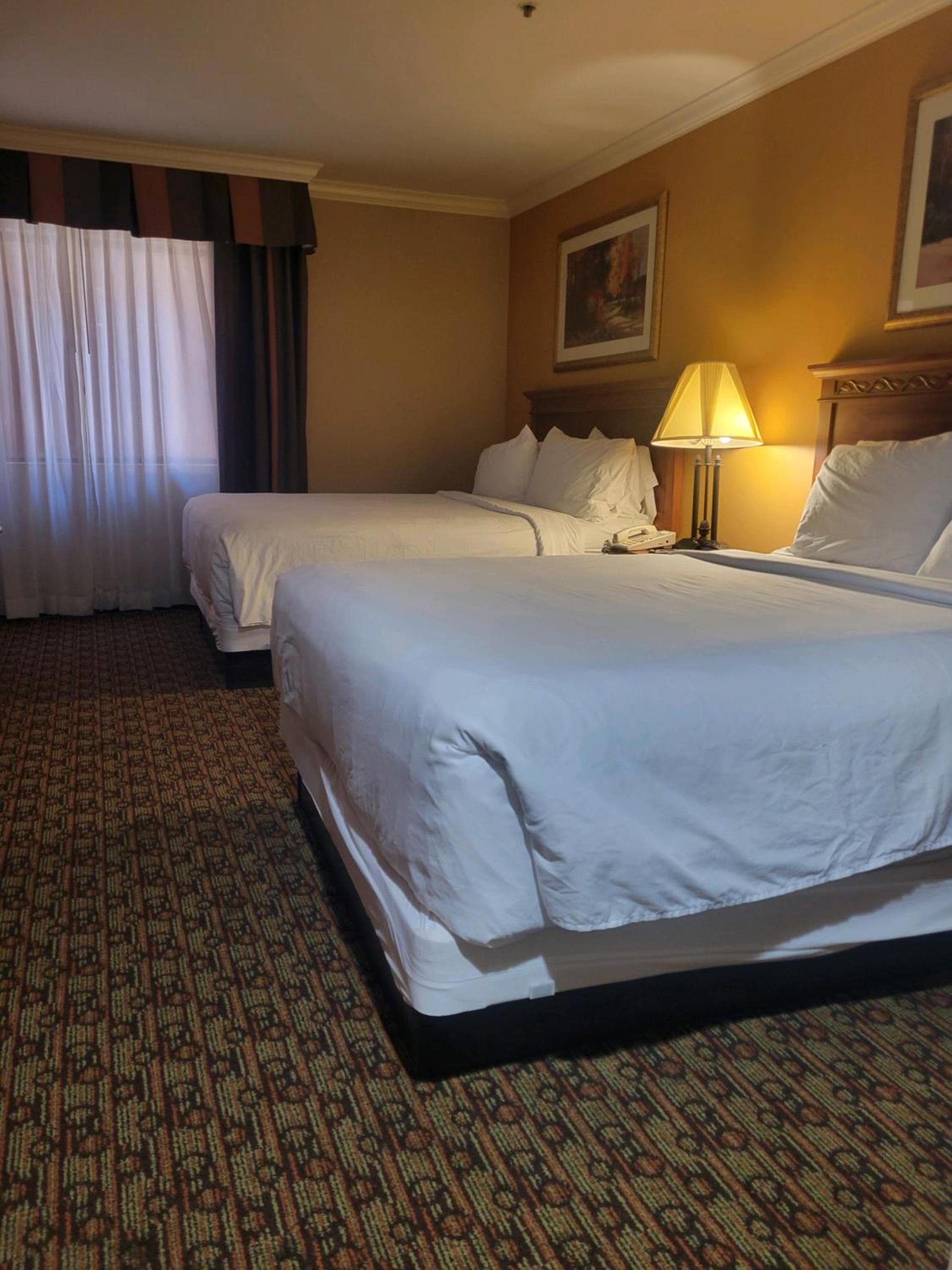 Hotel Xola photo 25