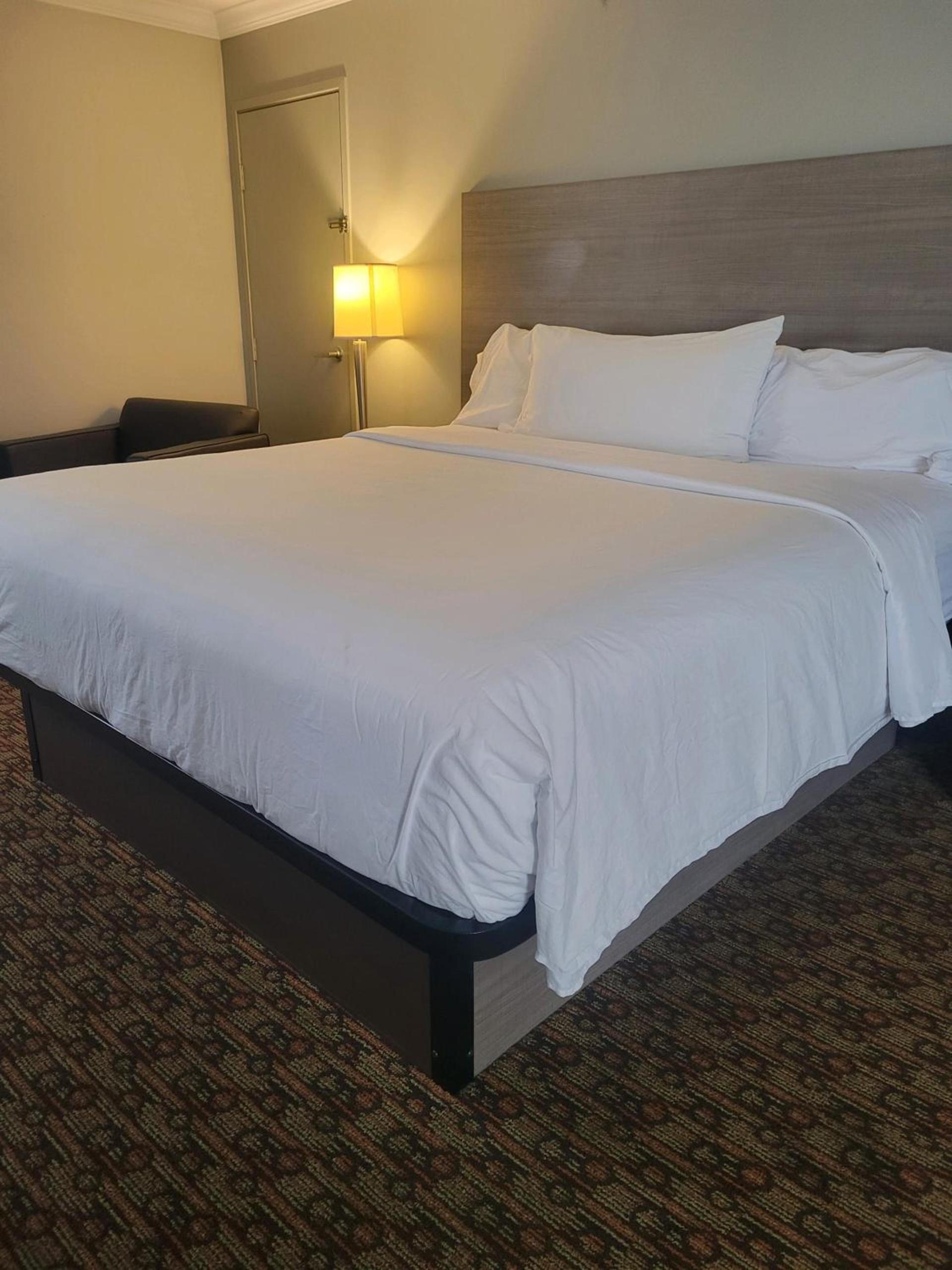 Hotel Xola photo 28