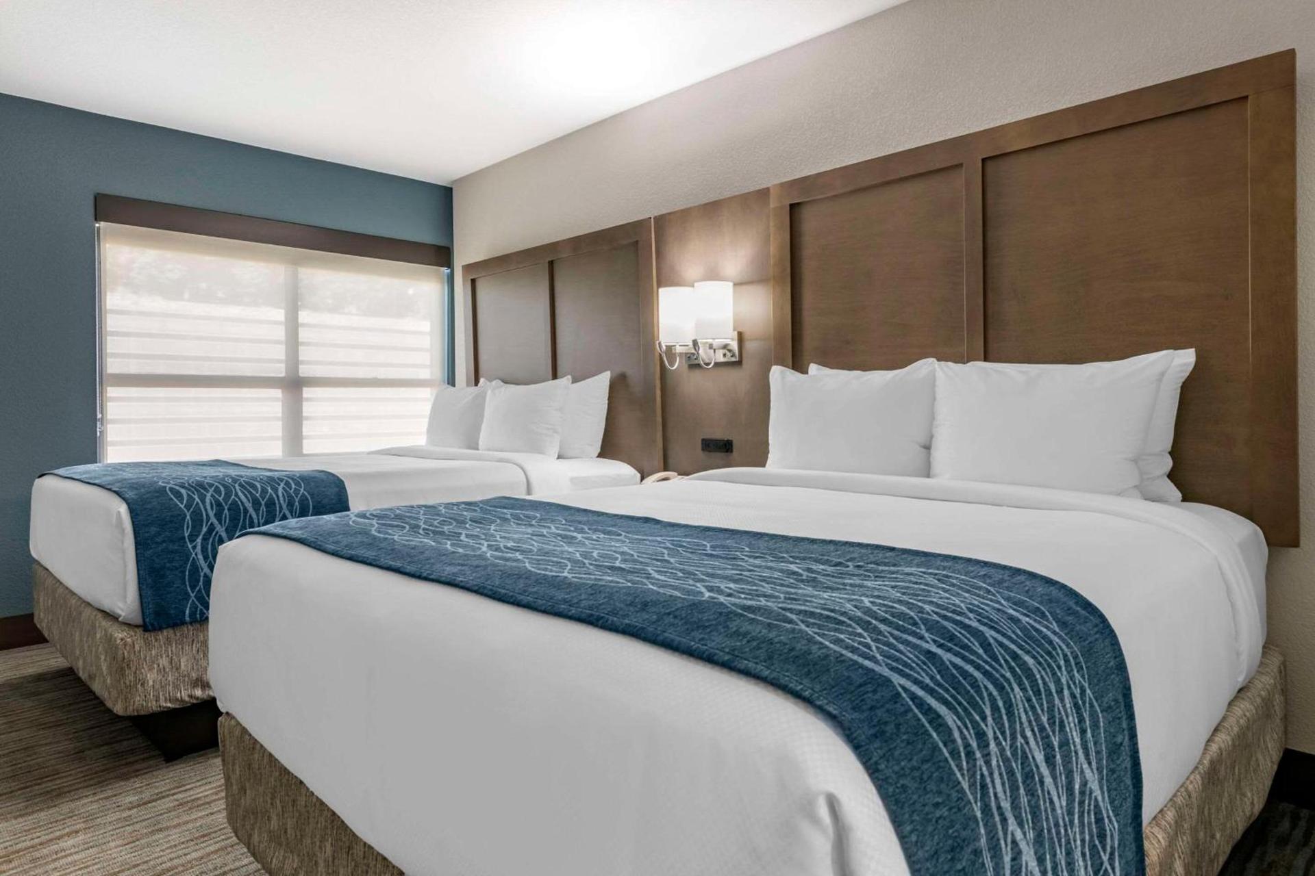 Comfort Inn & Suites Downtown Brickell-Port of Miami photo 6