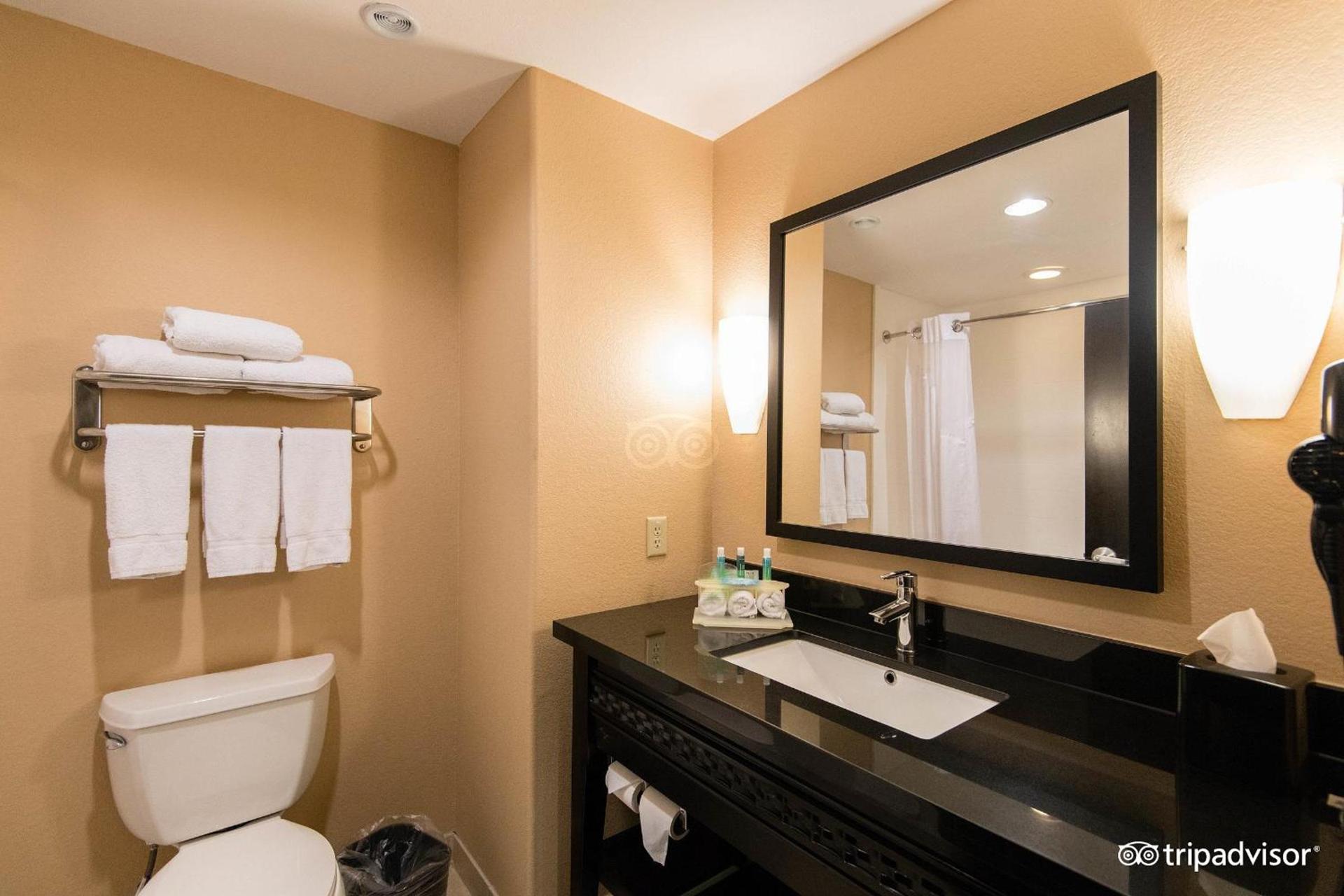 Comfort Inn & Suites Dallas Medical-Market Center photo 24