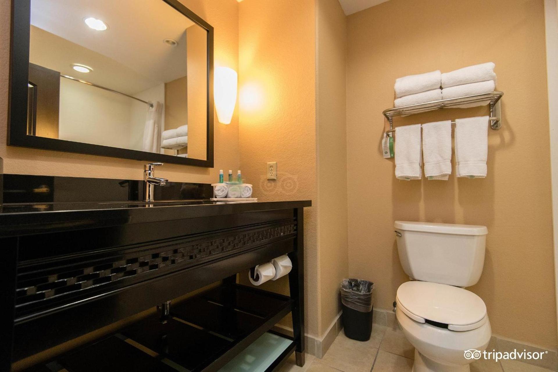 Comfort Inn & Suites Dallas Medical-Market Center photo 25