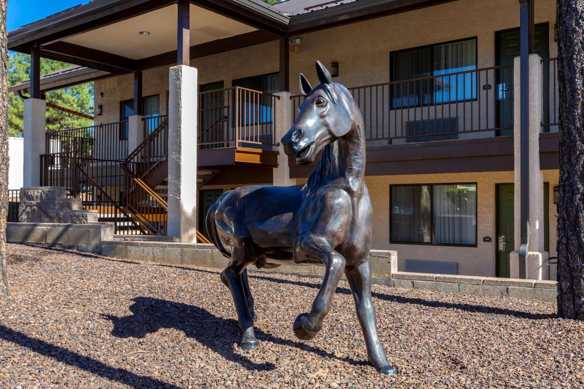 Best Western Paint Pony Lodge photo 45