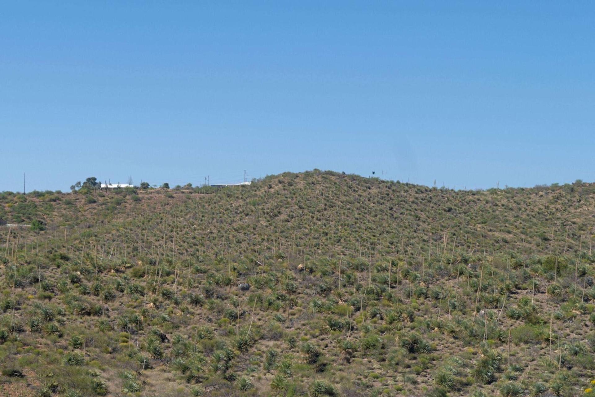 Travelodge by Wyndham Globe AZ photo 12
