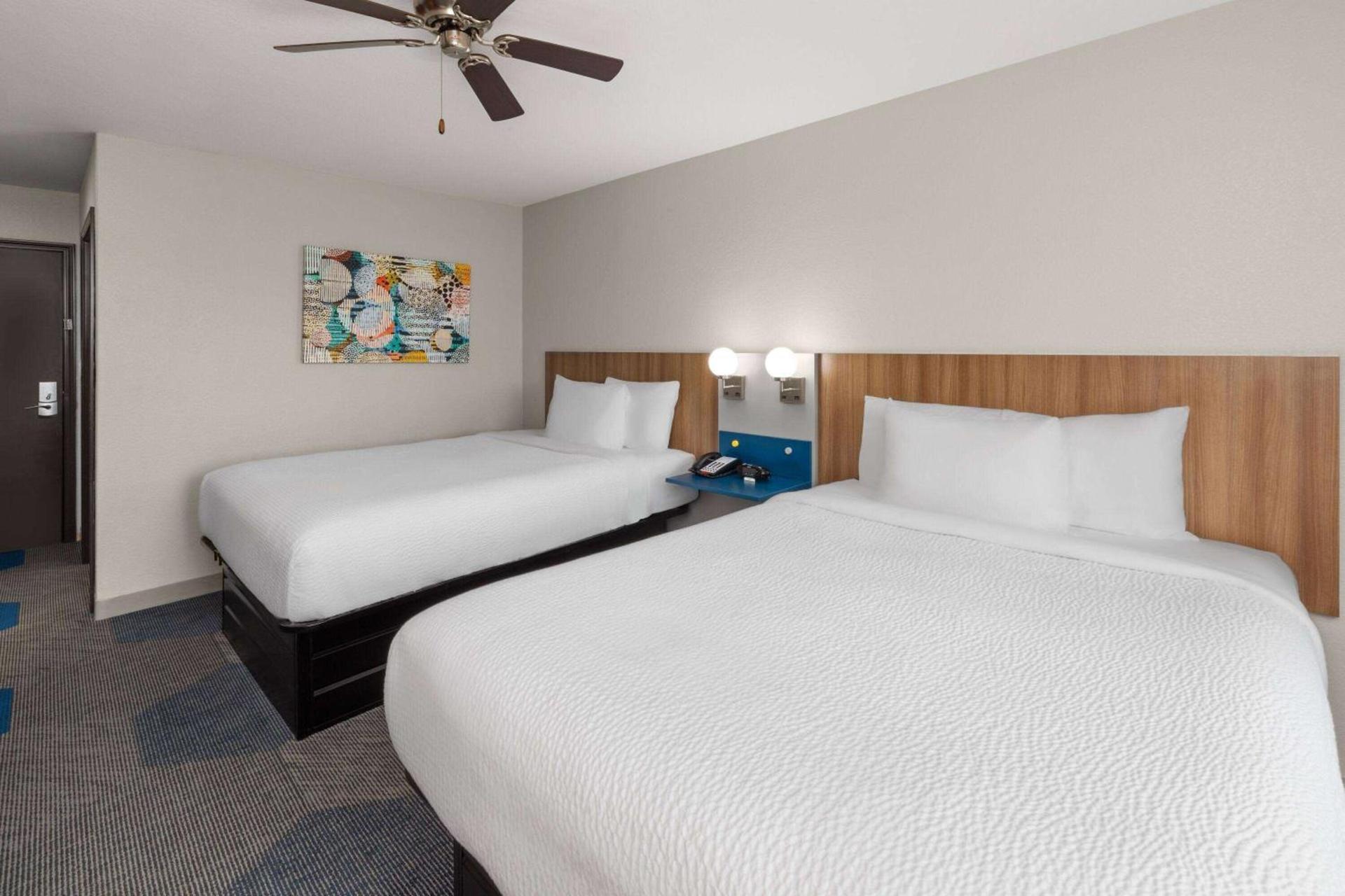 Microtel Inn & Suites by Wyndham Buda Austin South photo 10