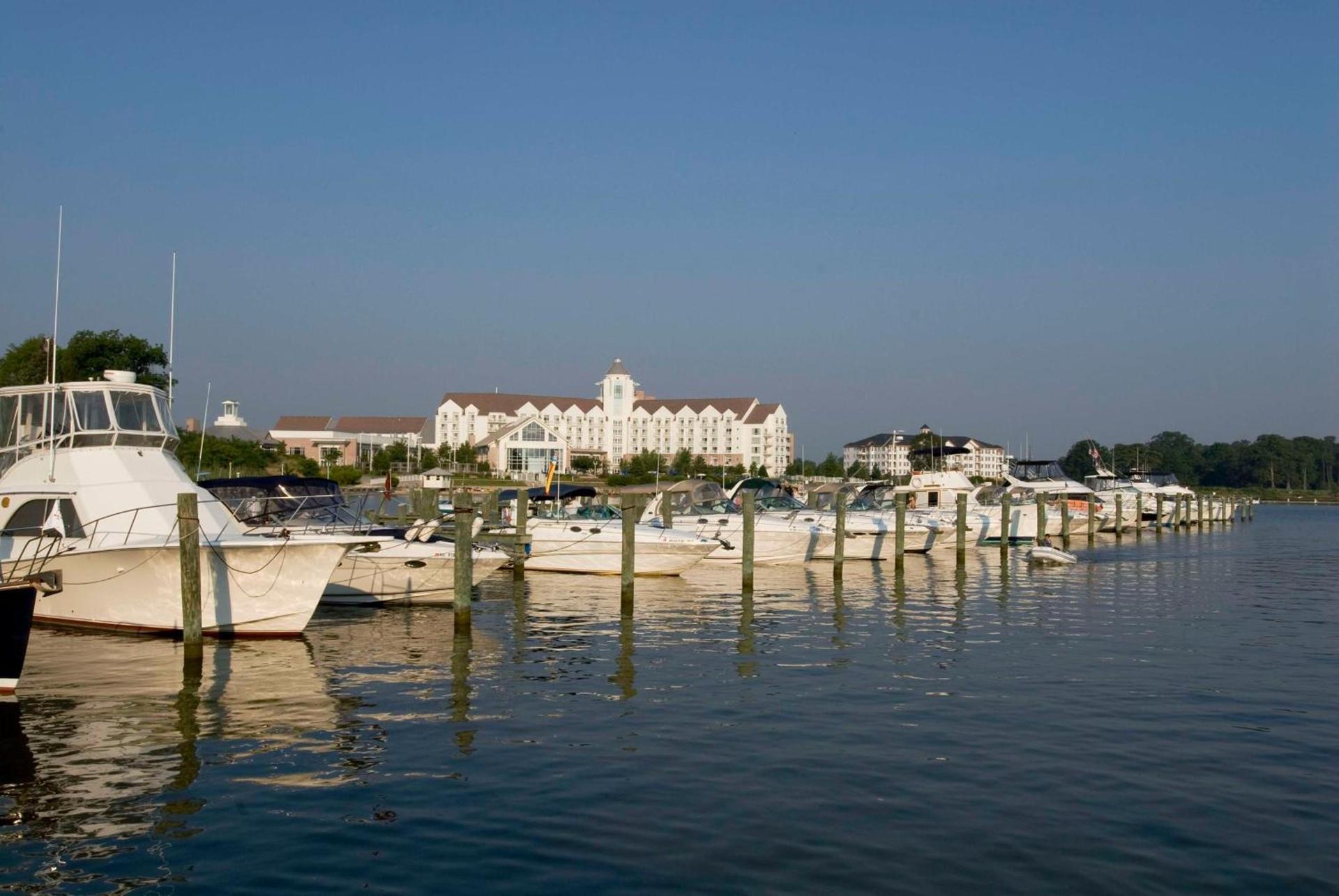 Hyatt Regency Chesapeake Bay Golf Resort, Spa & Marina photo 2