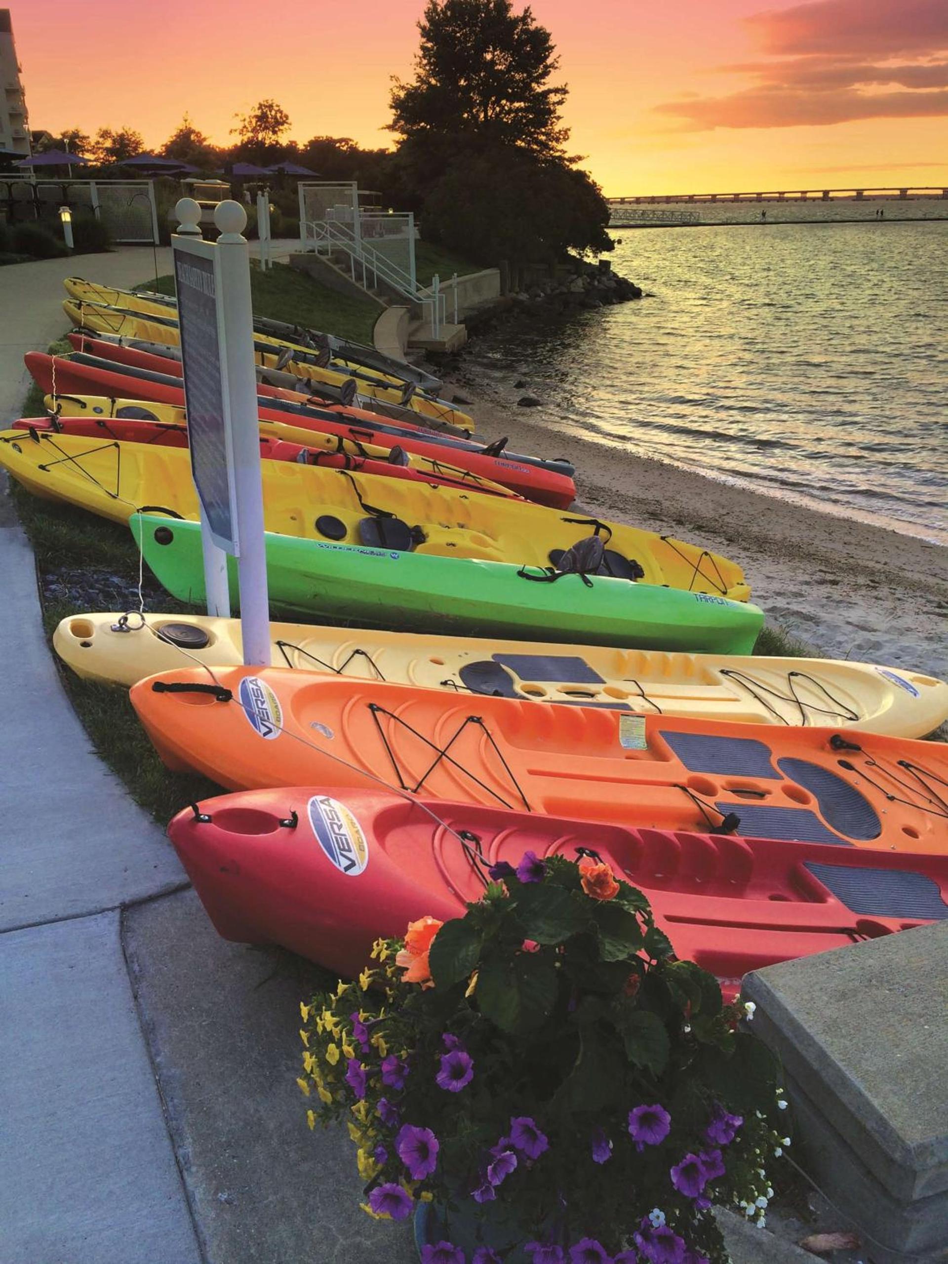 Hyatt Regency Chesapeake Bay Golf Resort, Spa & Marina photo 12