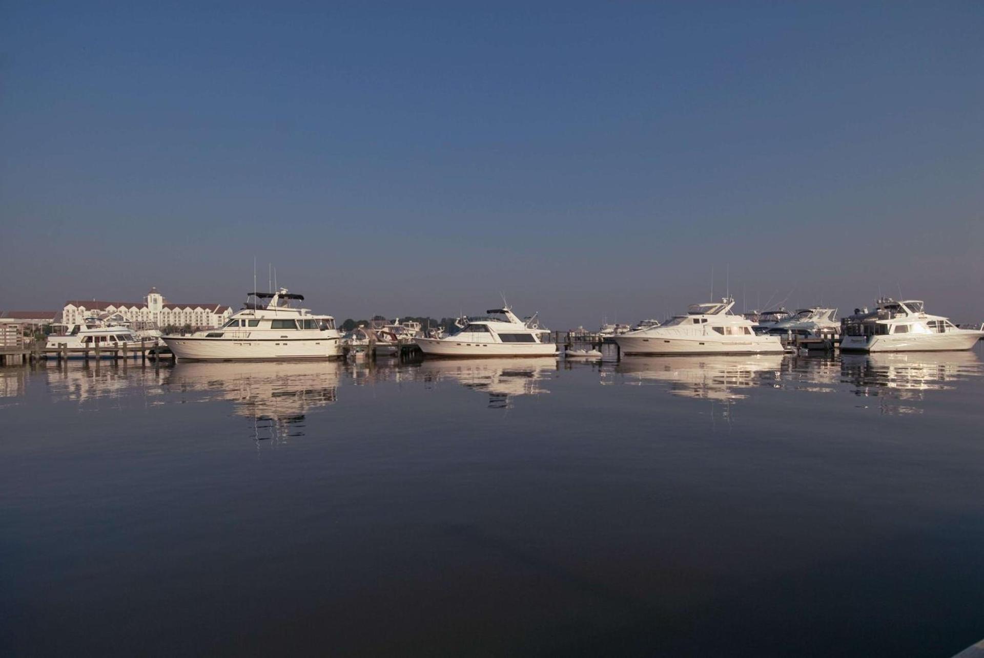 Hyatt Regency Chesapeake Bay Golf Resort, Spa & Marina photo 15