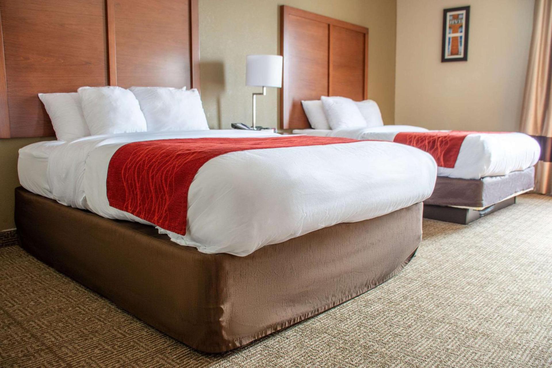 Comfort Inn Dickson photo 20