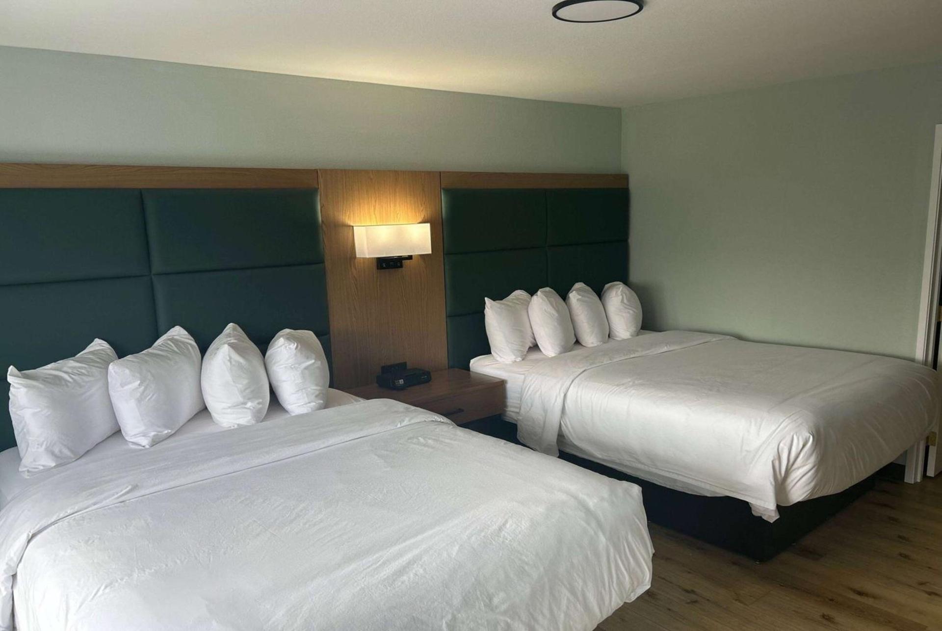 Wingate Suites By Wyndham Mansfield Ontario photo 3