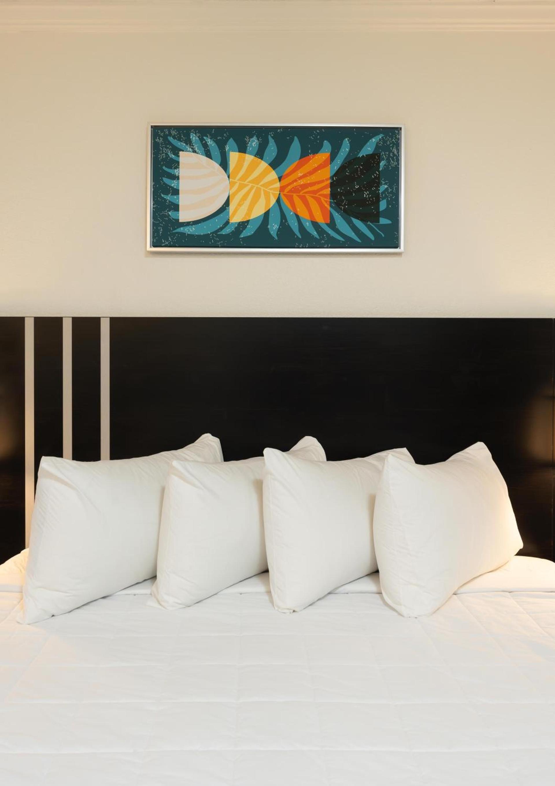 OASIS BAY SUITES, Tampa, Busch Gardens, USF photo 24
