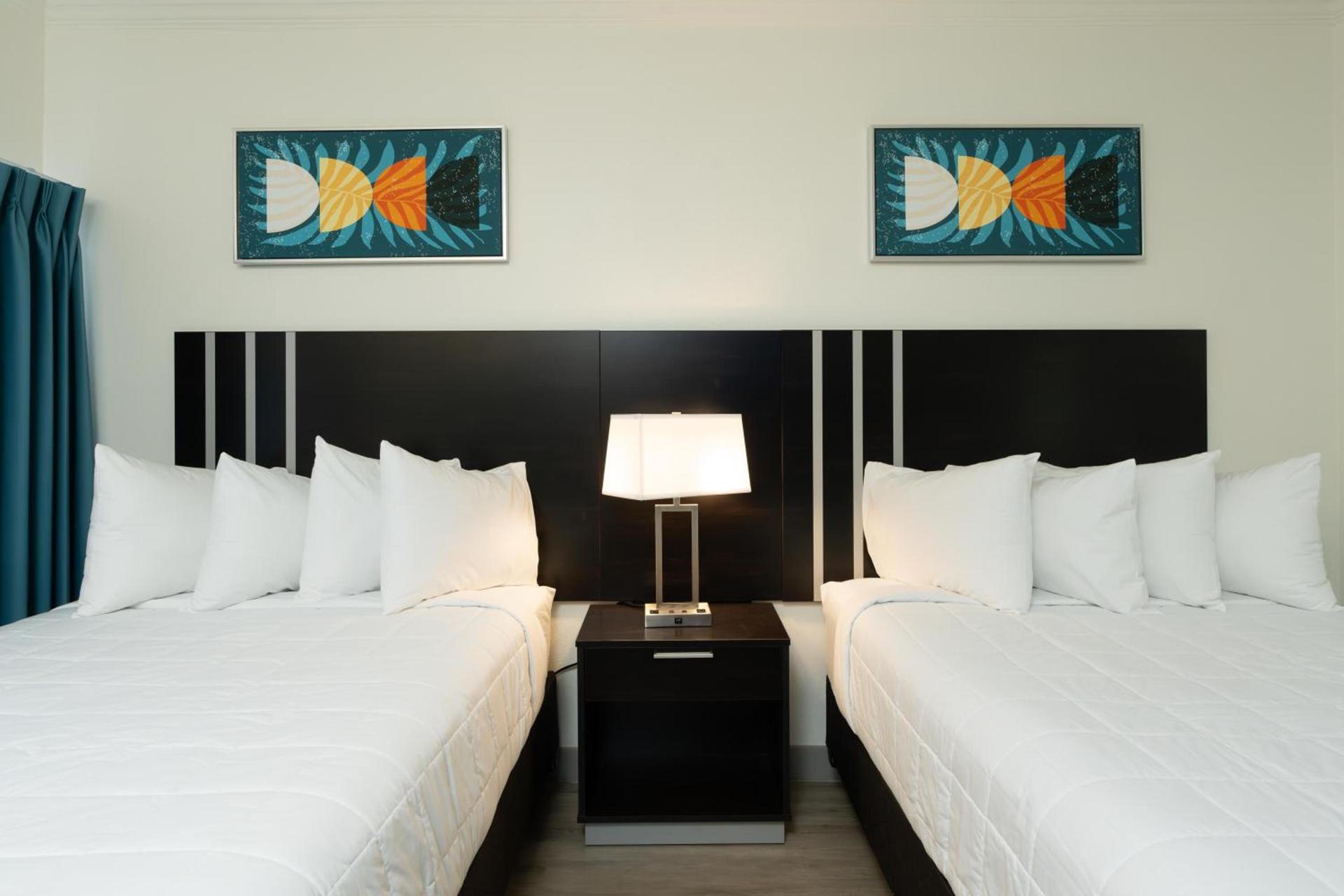 OASIS BAY SUITES, Tampa, Busch Gardens, USF photo 26