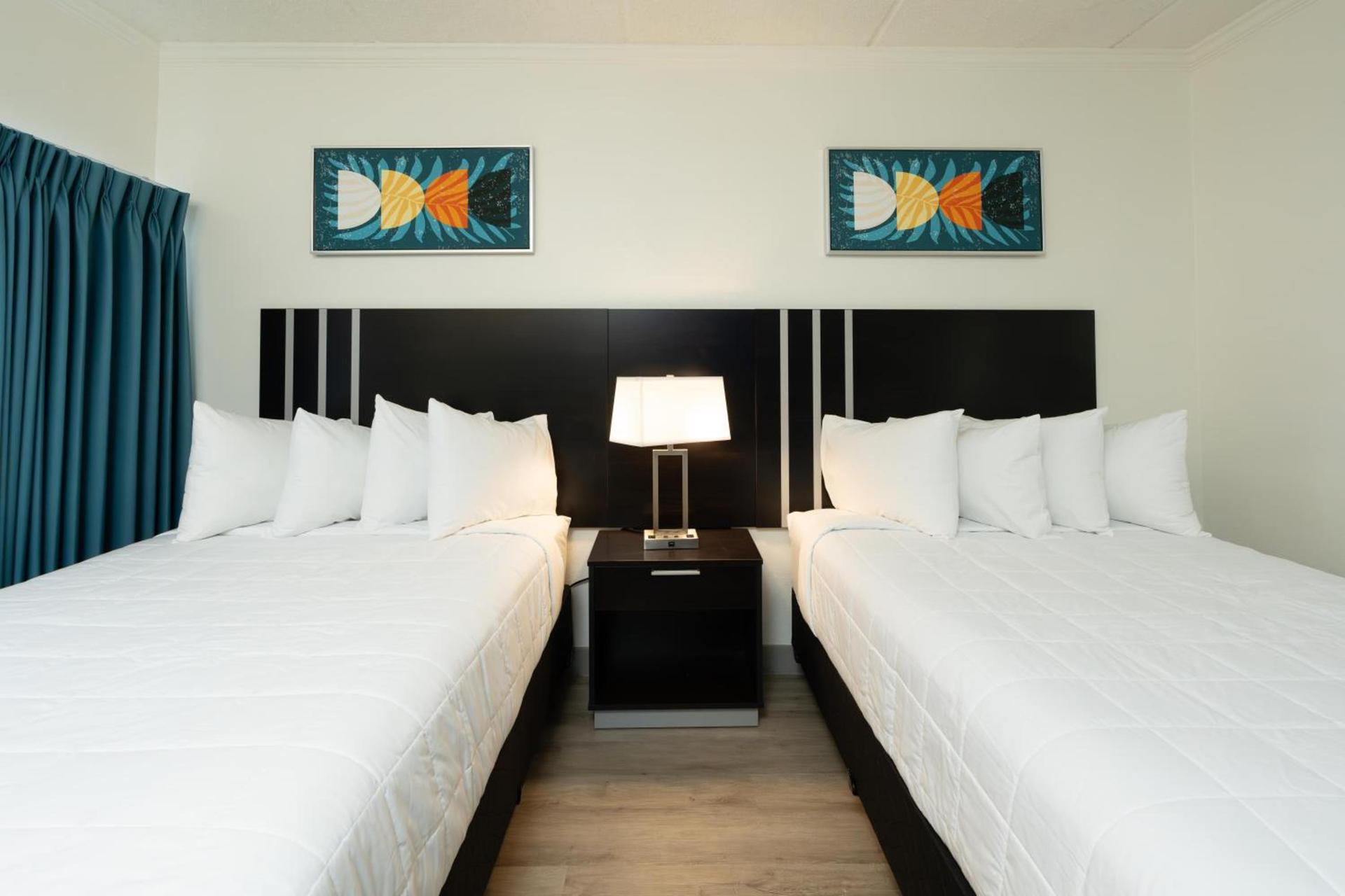 OASIS BAY SUITES, Tampa, Busch Gardens, USF photo 31