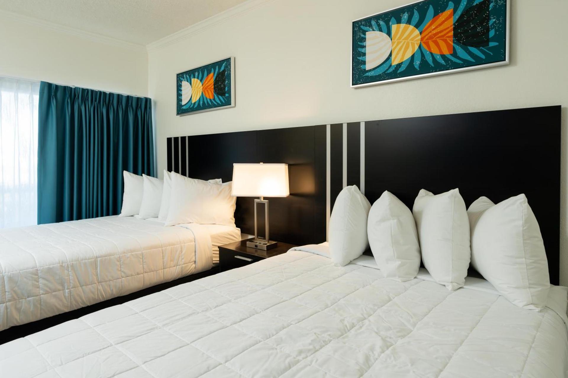 OASIS BAY SUITES, Tampa, Busch Gardens, USF photo 27