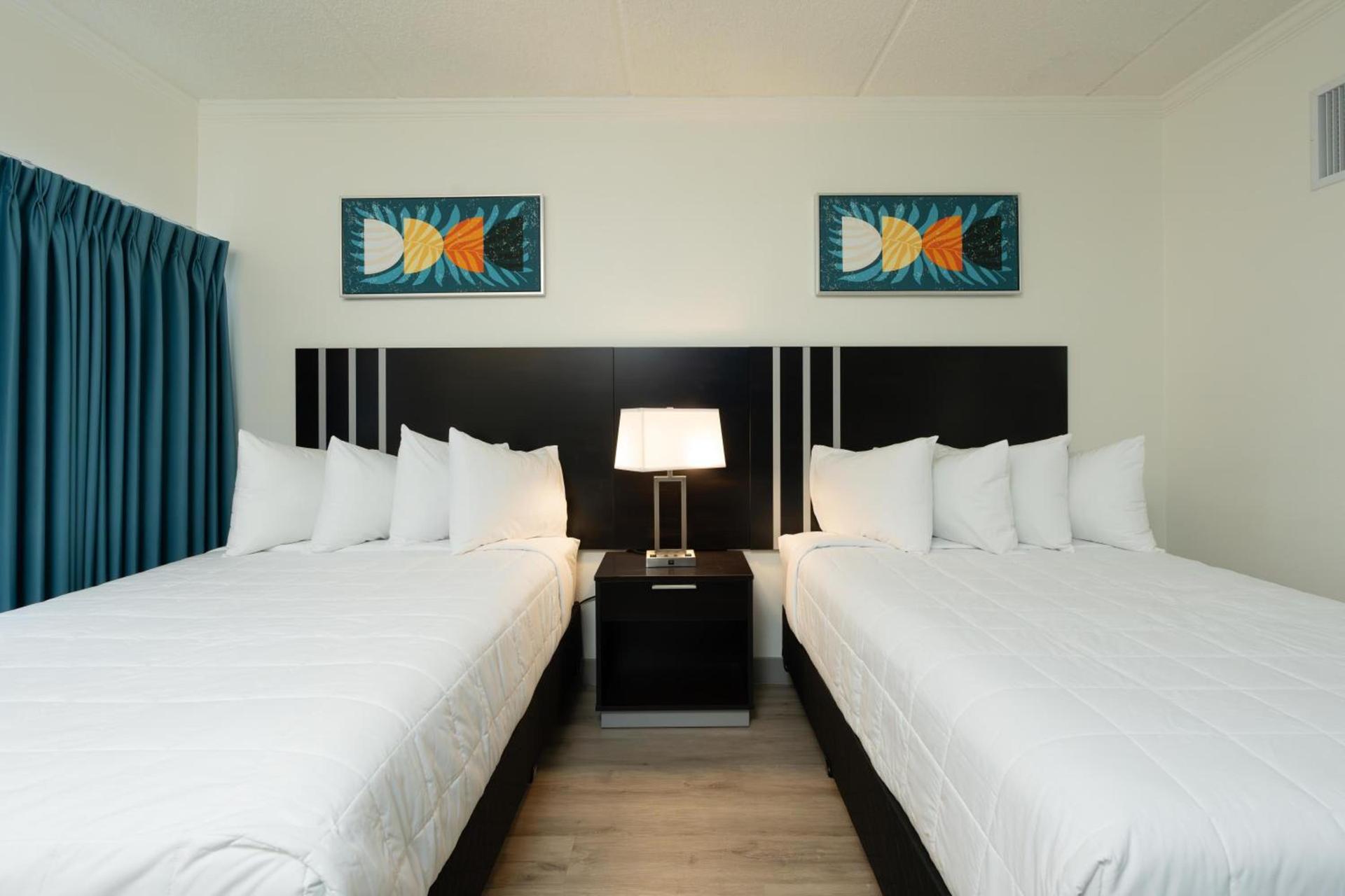 OASIS BAY SUITES, Tampa, Busch Gardens, USF photo 28