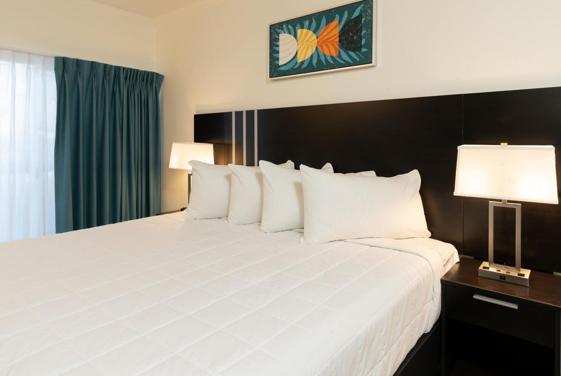OASIS BAY SUITES, Tampa, Busch Gardens, USF photo 15