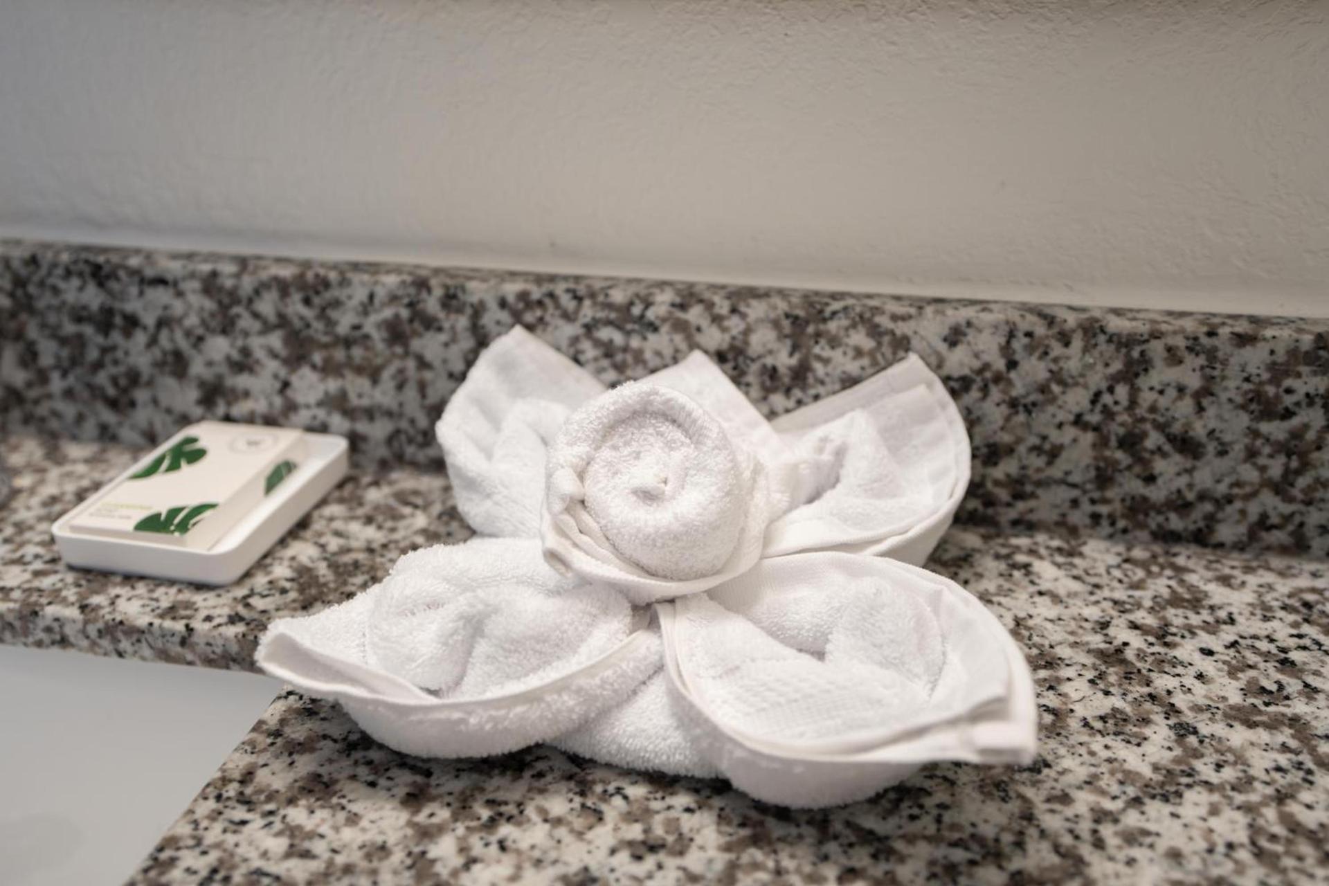 OASIS BAY SUITES, Tampa, Busch Gardens, USF photo 29