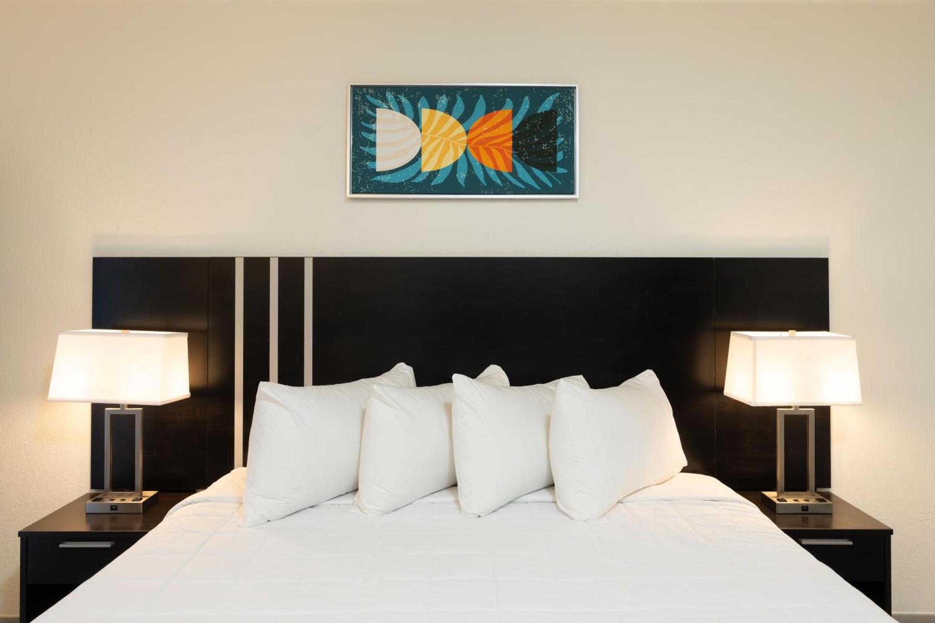 OASIS BAY SUITES, Tampa, Busch Gardens, USF photo 32