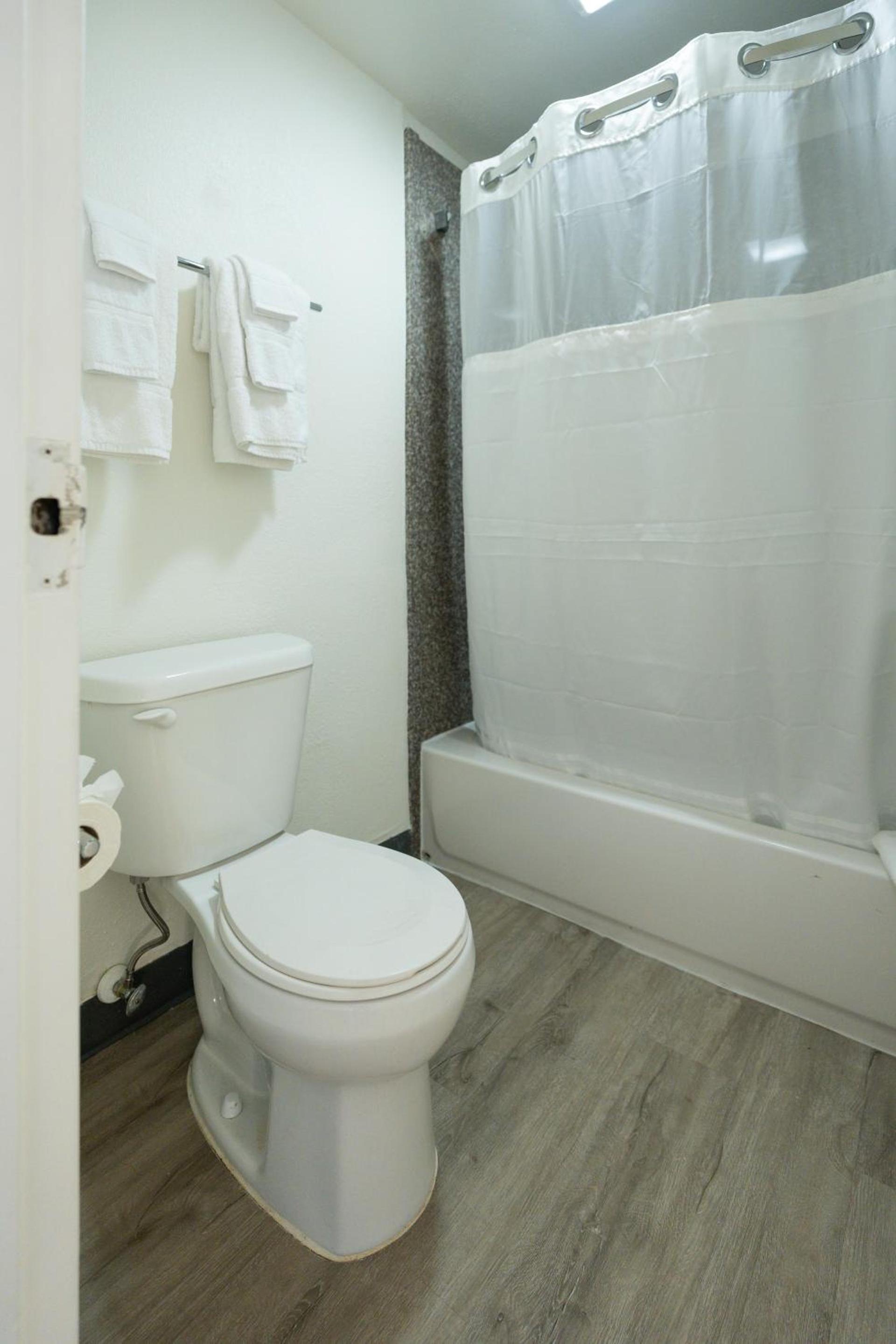 OASIS BAY SUITES, Tampa, Busch Gardens, USF photo 35