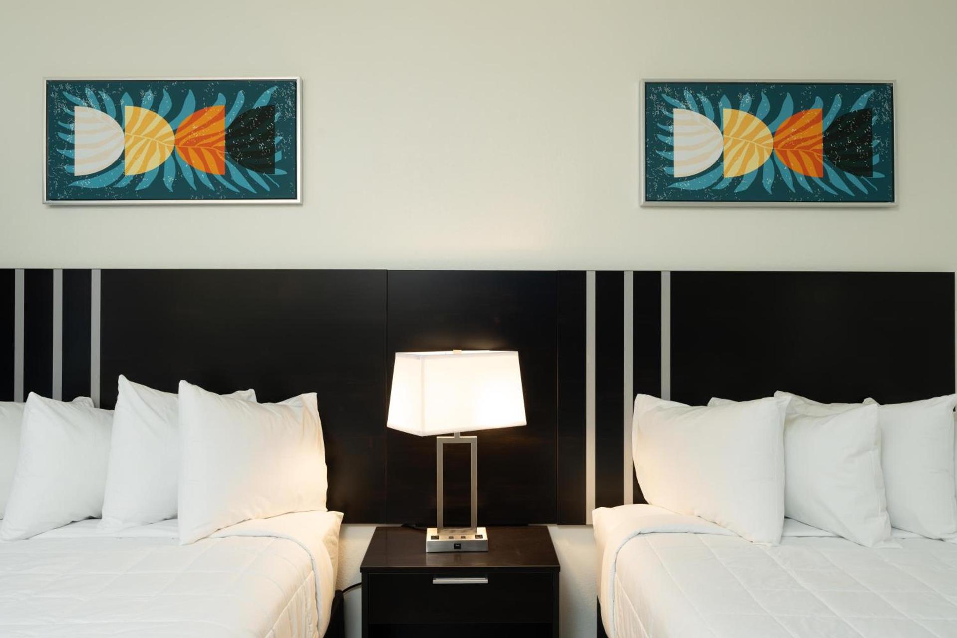 OASIS BAY SUITES, Tampa, Busch Gardens, USF photo 38