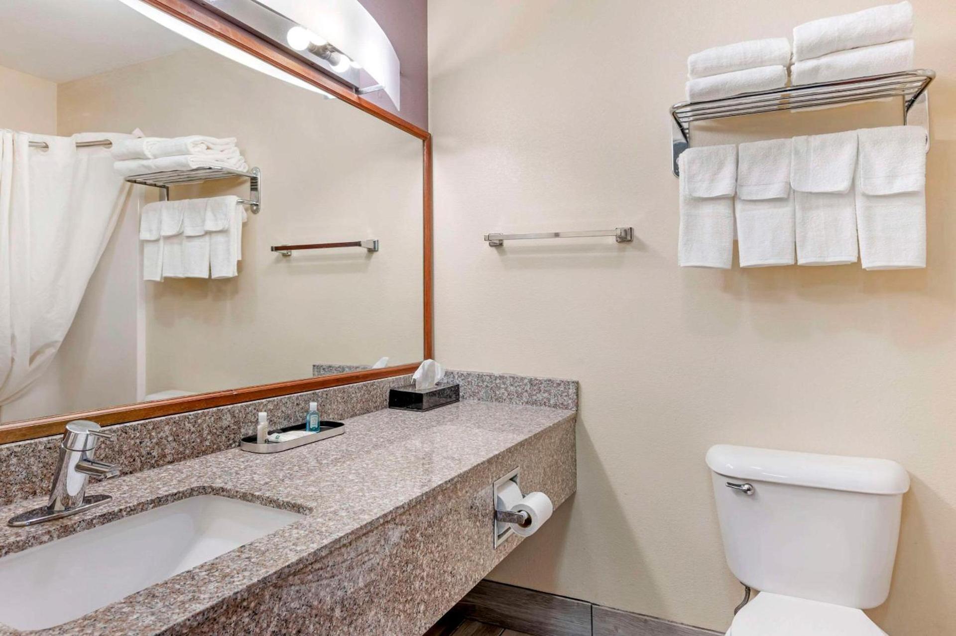 Quality Suites photo 6