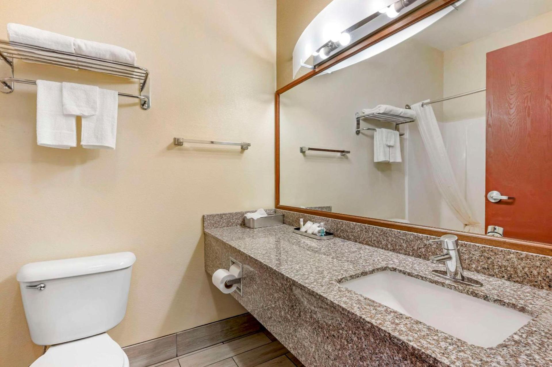 Quality Suites photo 10