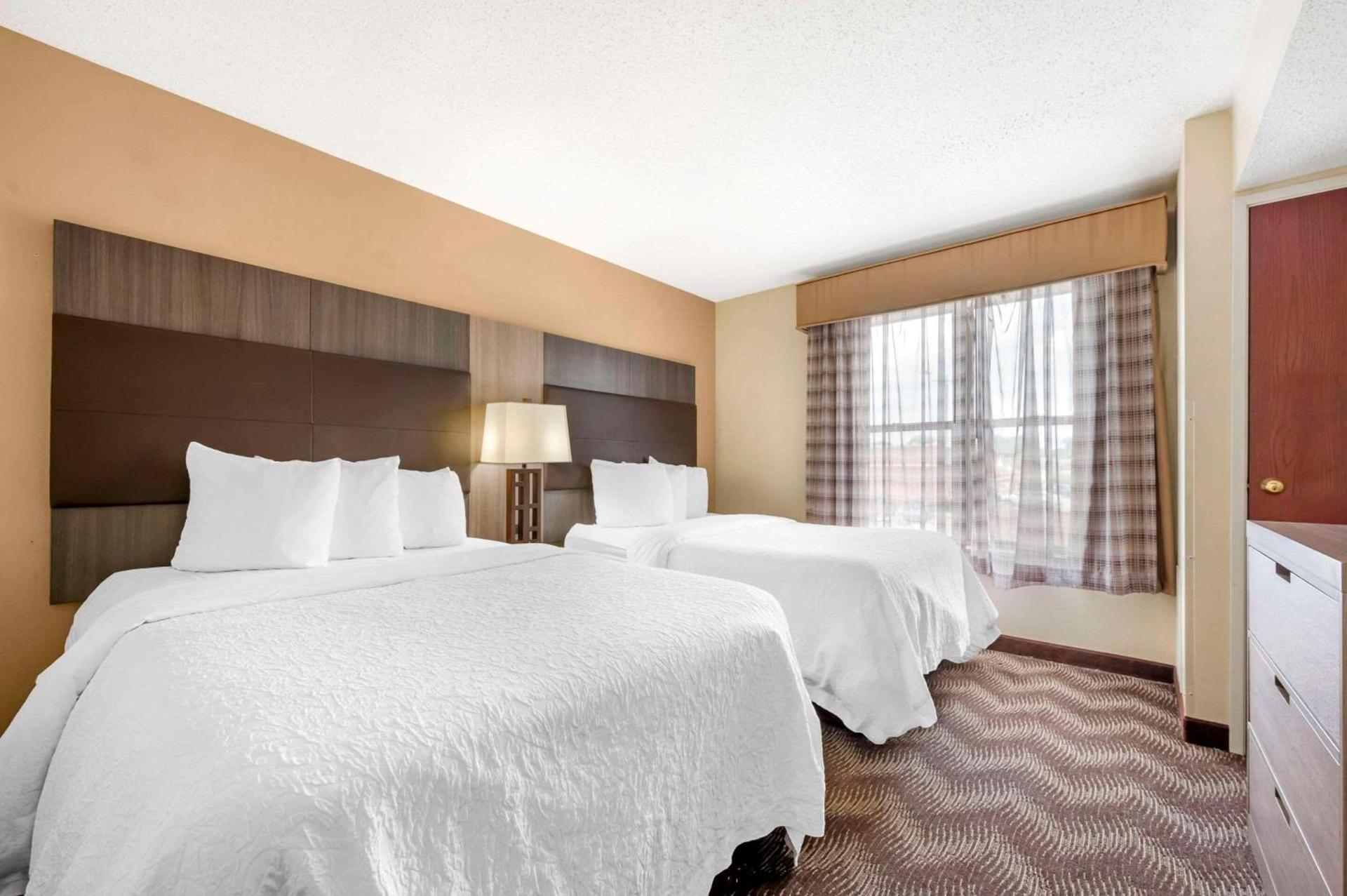 Quality Suites photo 11