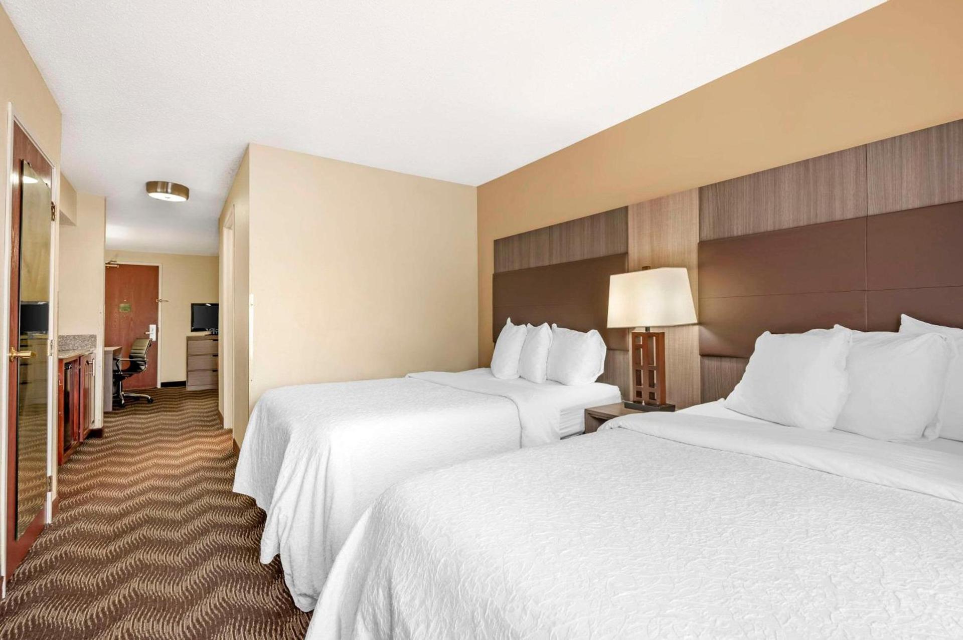 Quality Suites photo 12