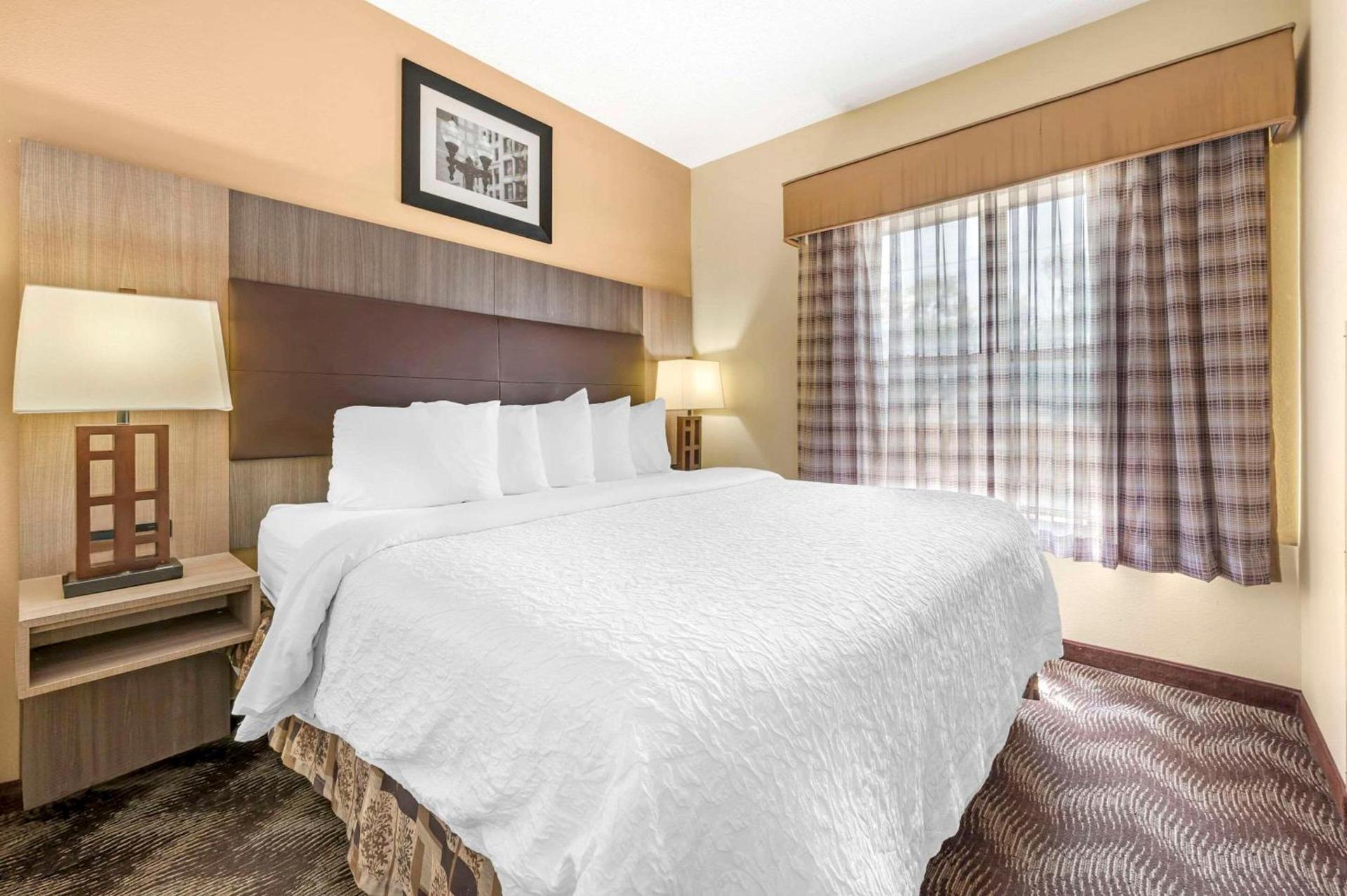 Quality Suites photo 15