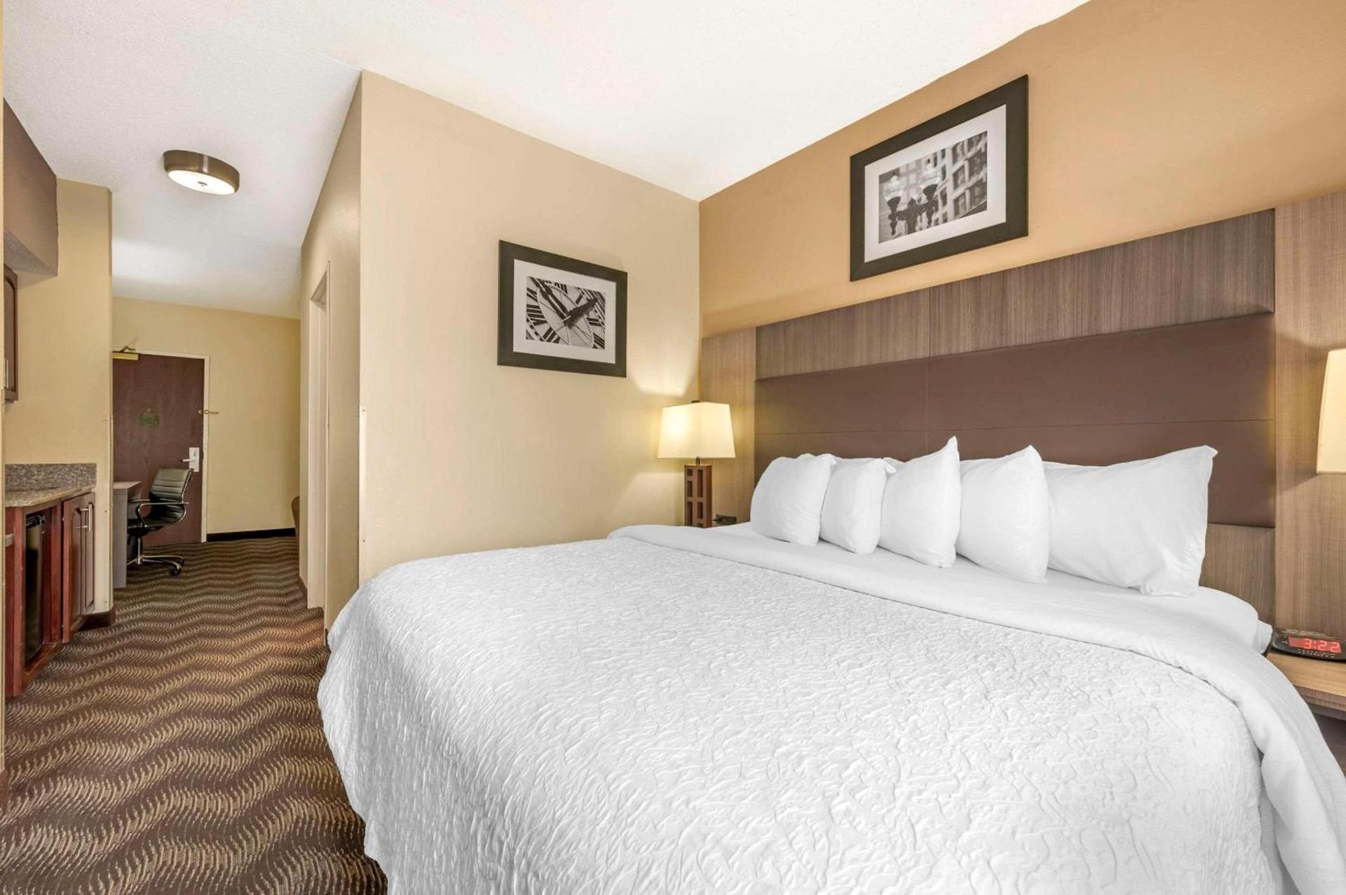 Quality Suites photo 16