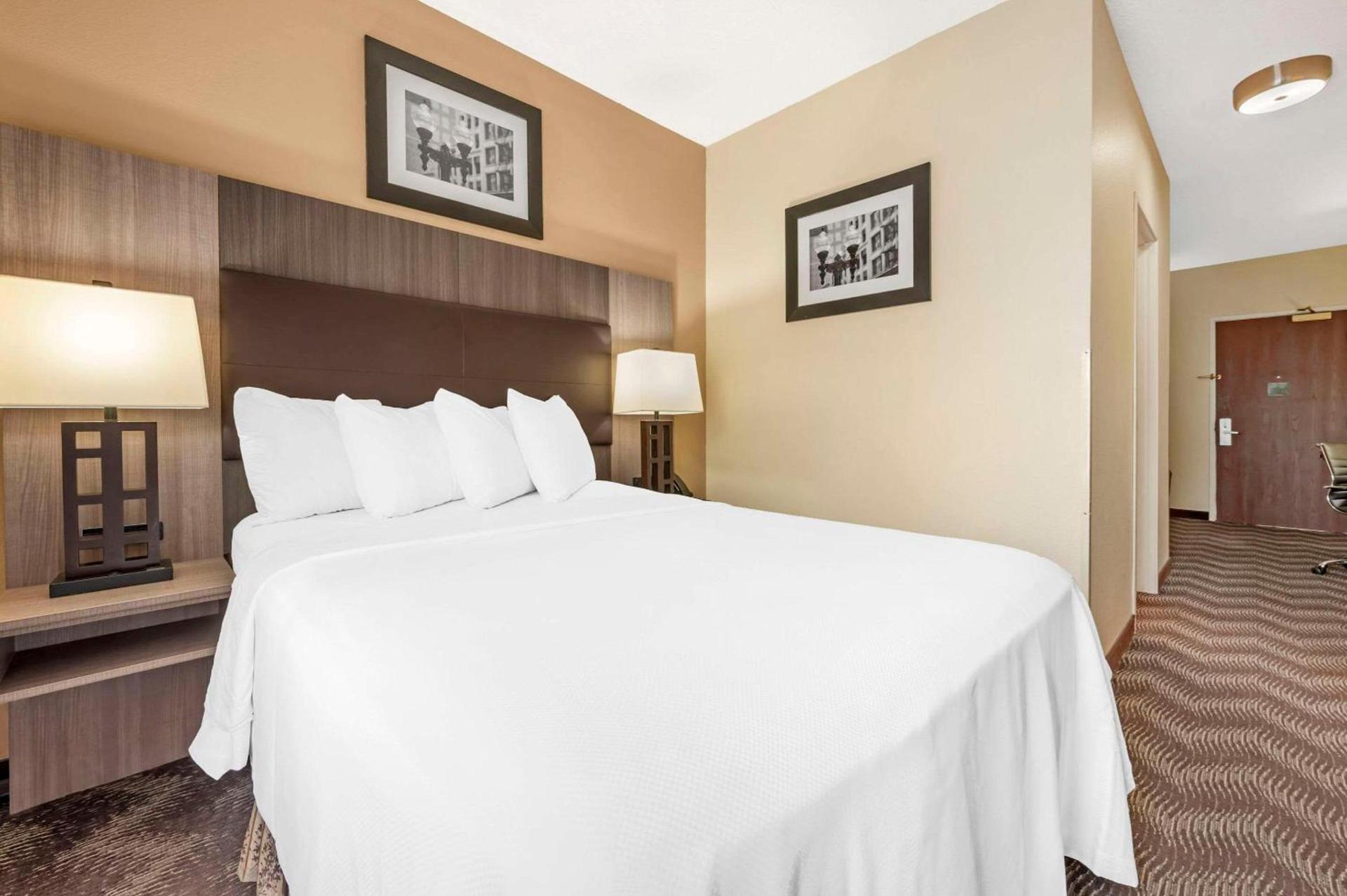 Quality Suites photo 19