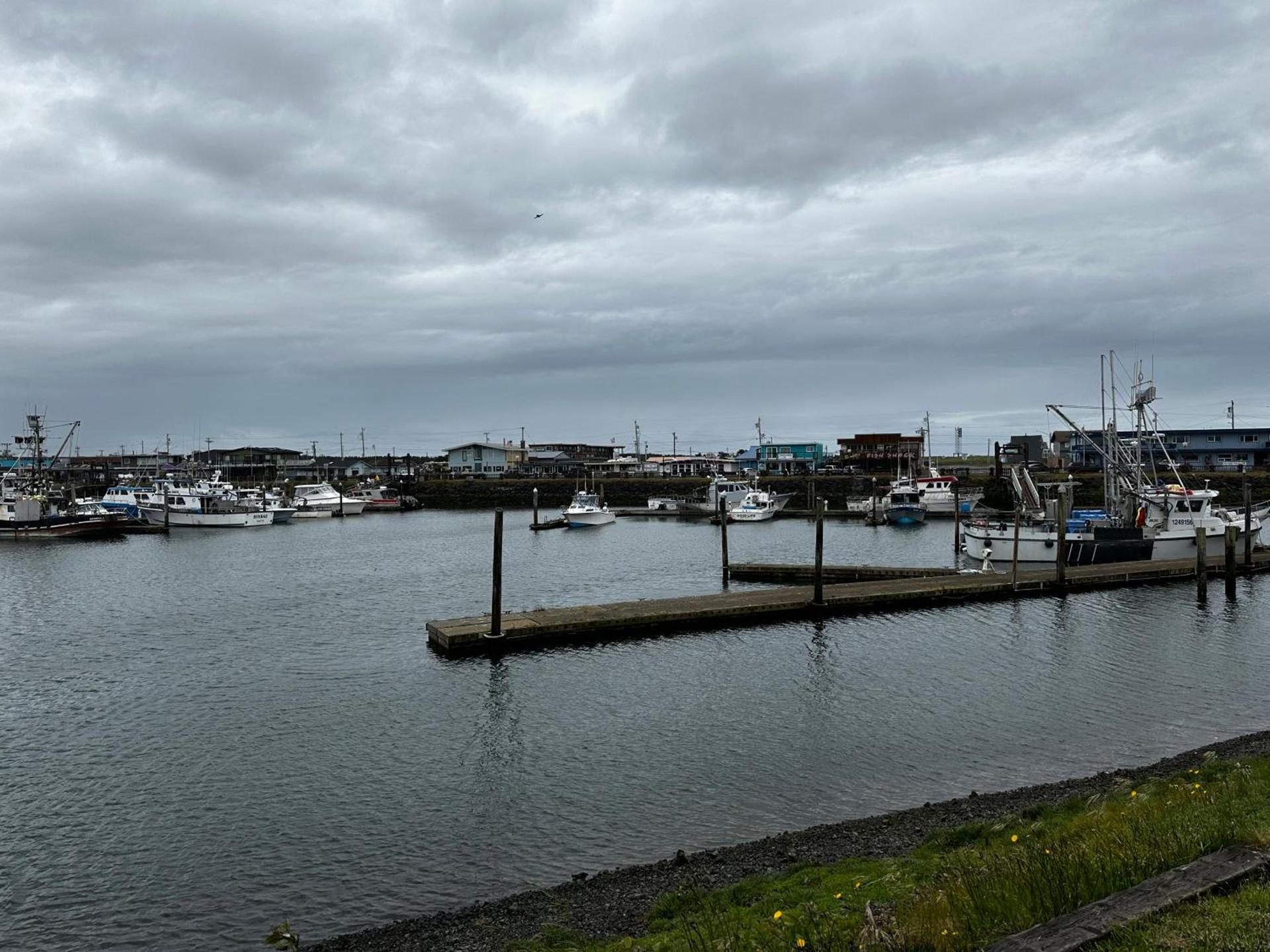 Westport Marina Cottages photo 6