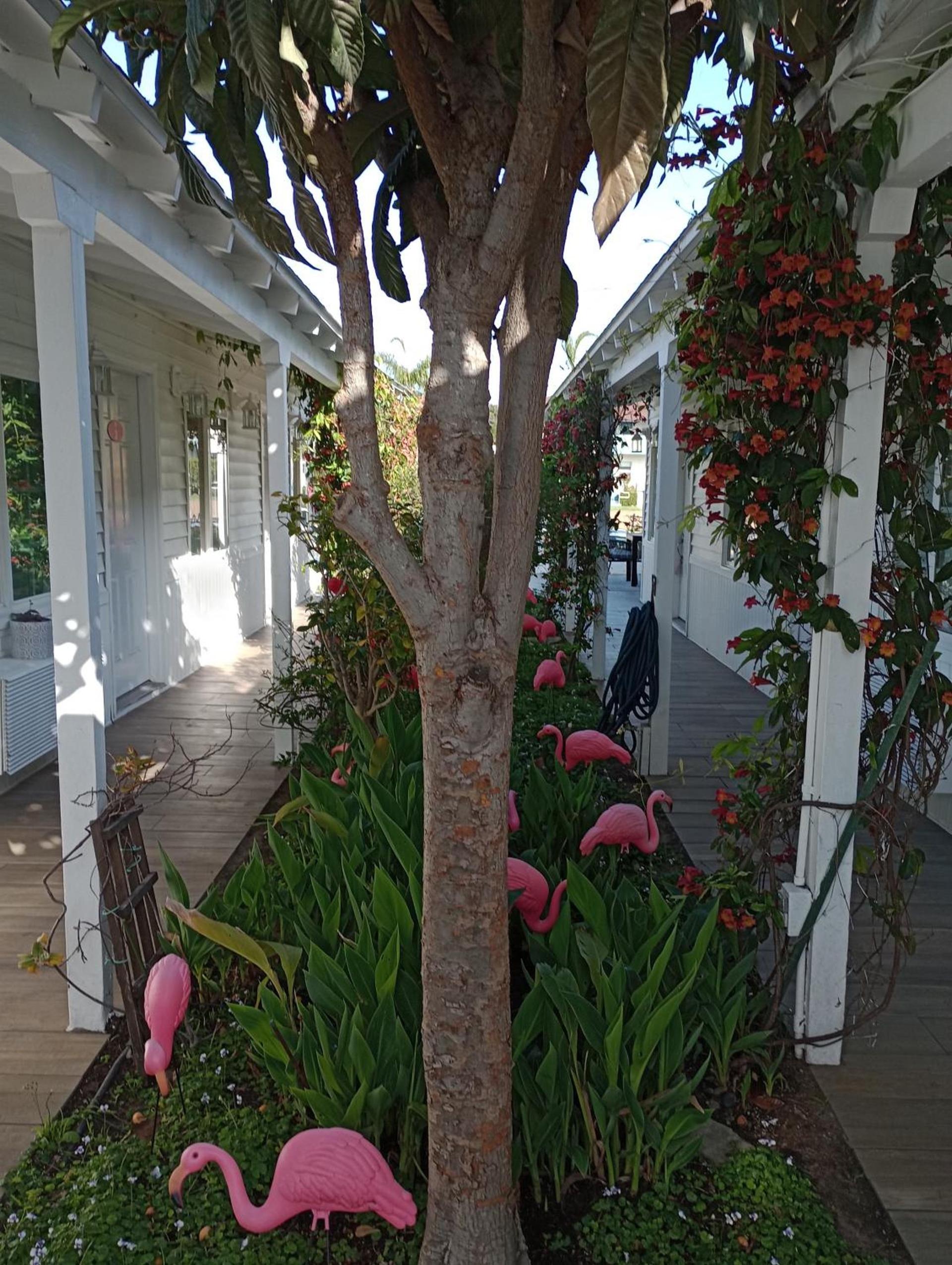 El Rancho Motel photo 13