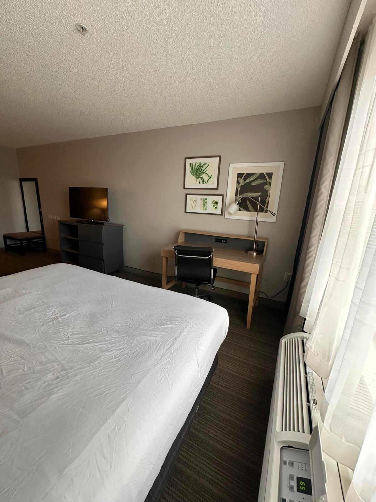 Spark by Hilton Summerville photo 8