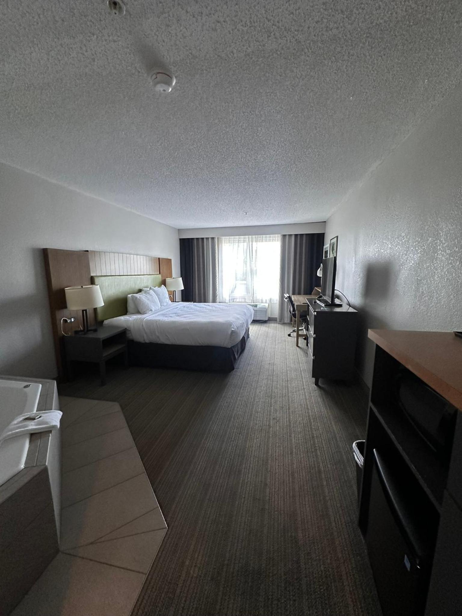 Spark by Hilton Summerville photo 14