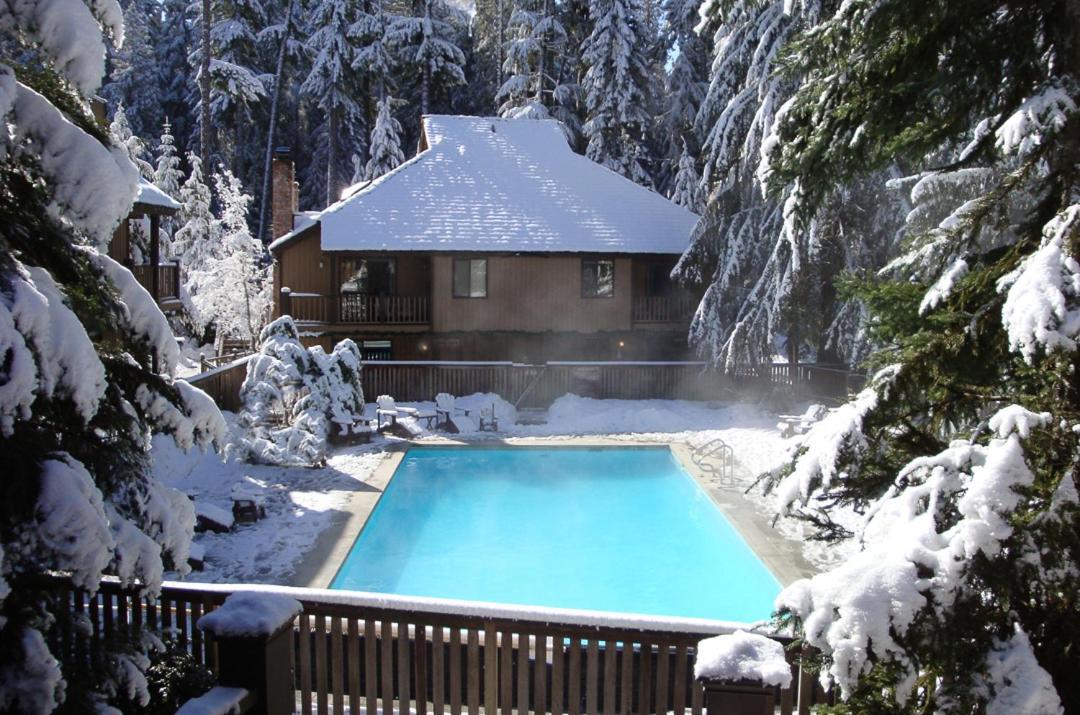Alta Crystal Resort photo 8