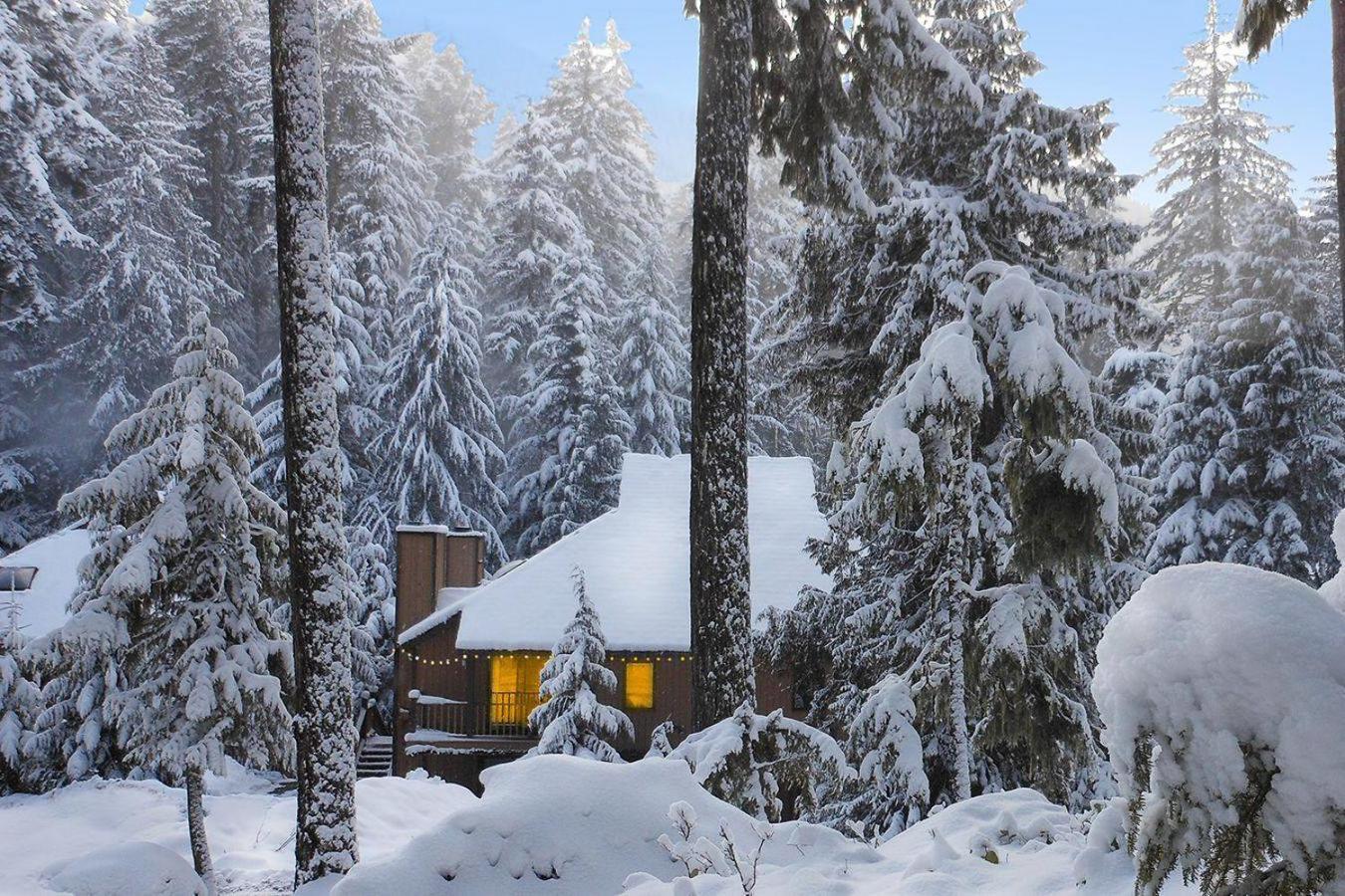 Alta Crystal Resort photo 7
