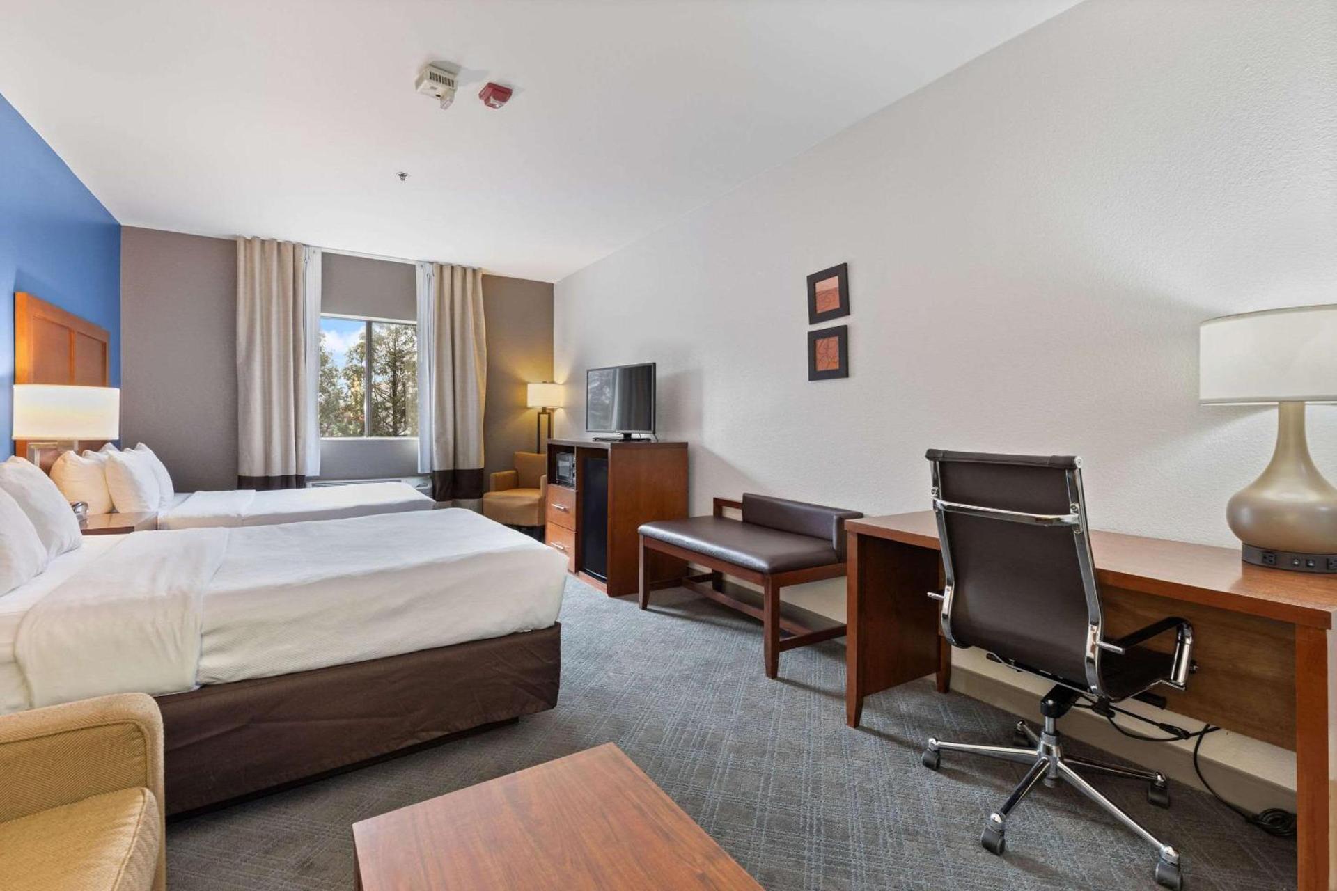 Comfort Suites Lombard - Addison photo 14