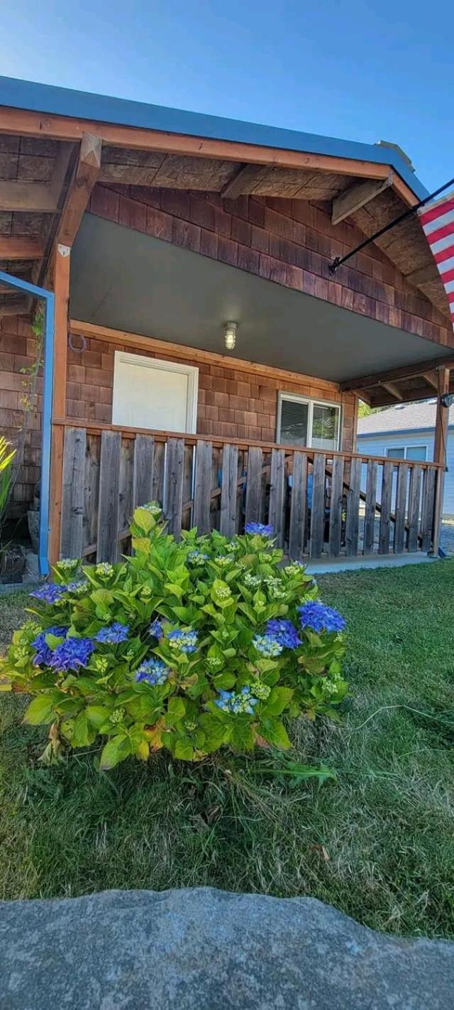 The Bunkhouse Motel photo 6
