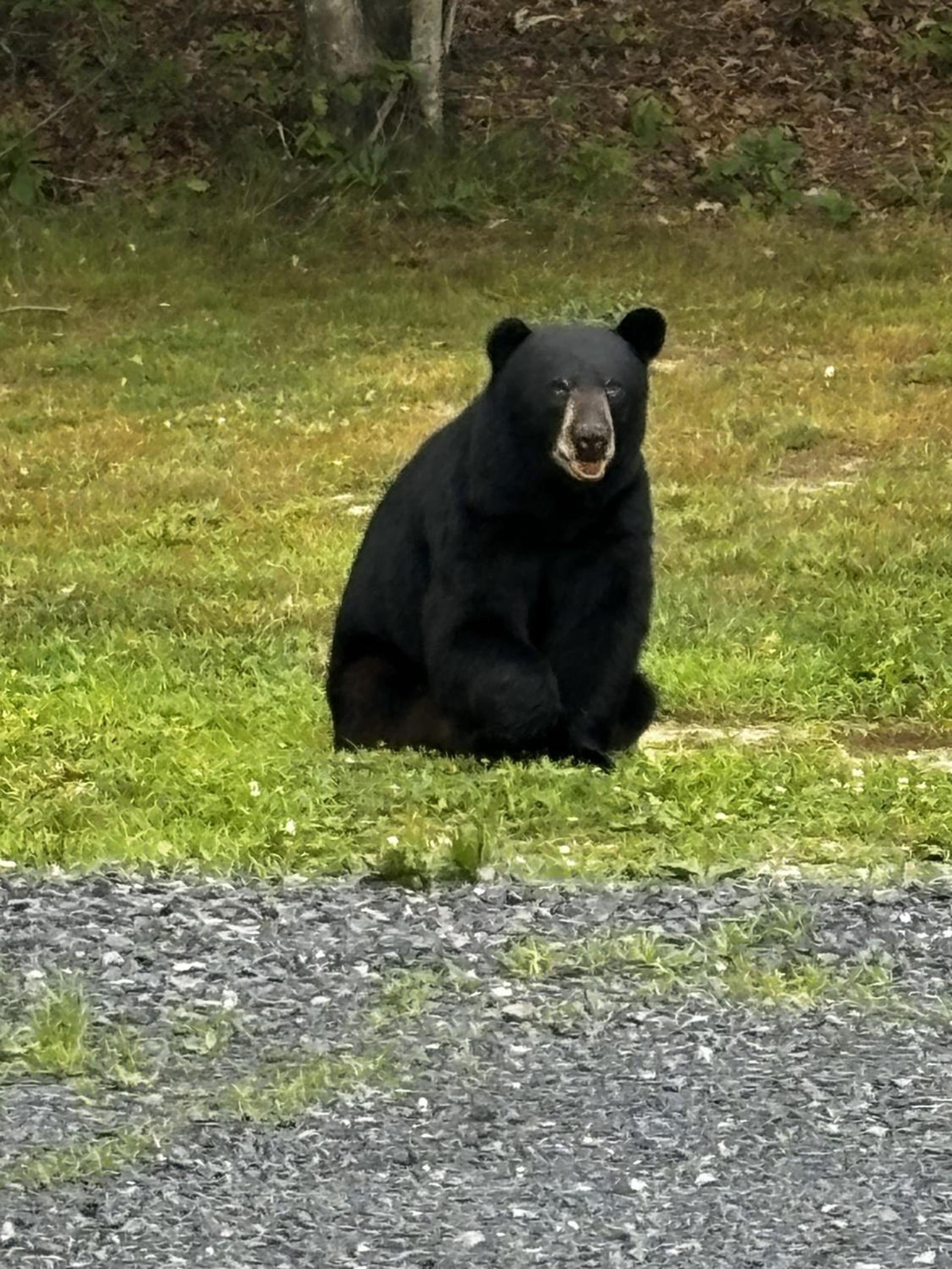 Minnewaska Lodge photo 31