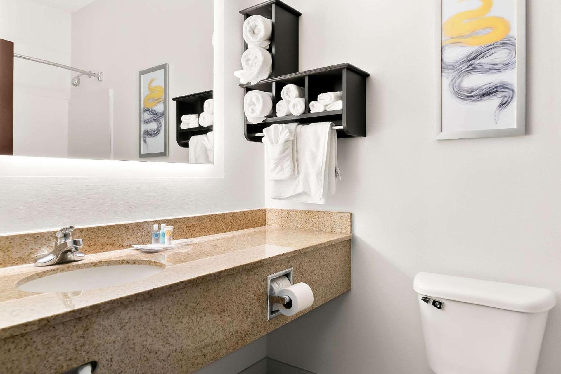 Comfort Suites Southfield-Detroit photo 11