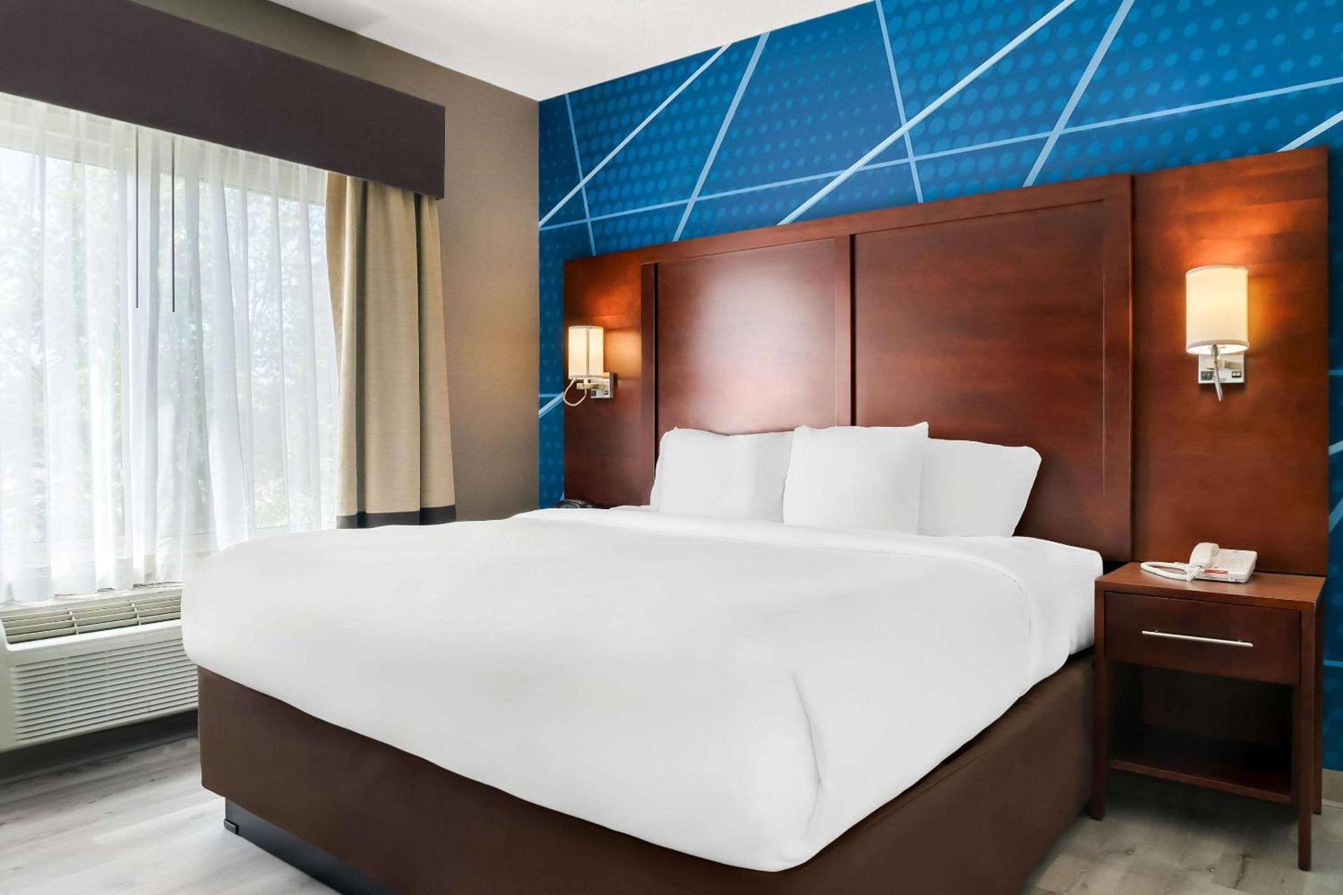 Comfort Suites Southfield-Detroit photo 16