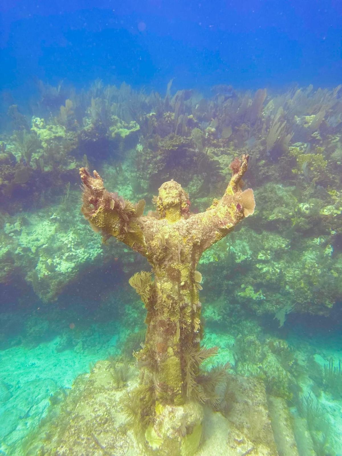 Bayside Inn Key Largo photo 79