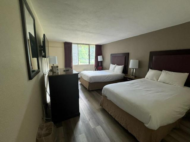 Town Inn photo 42