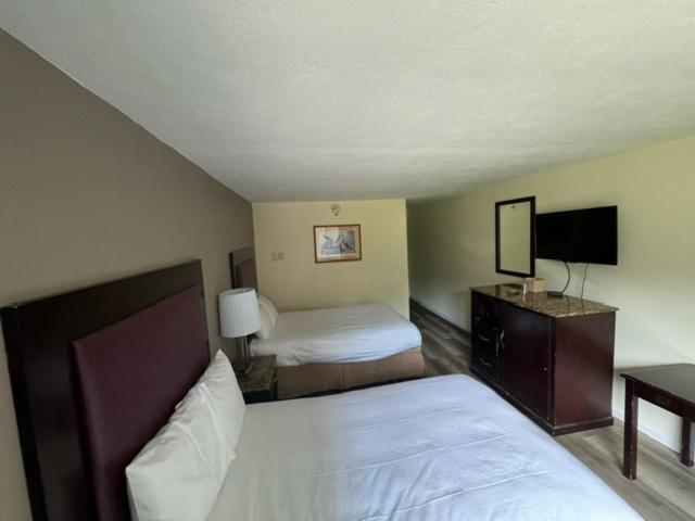 Town Inn photo 22
