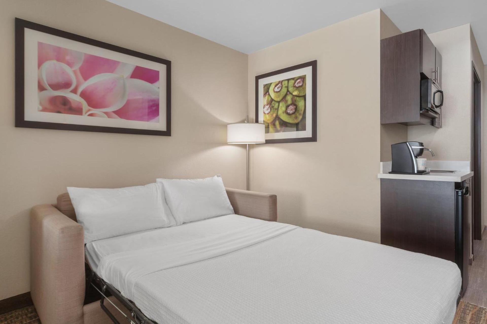 Holiday Inn Express Tomball by IHG photo 43